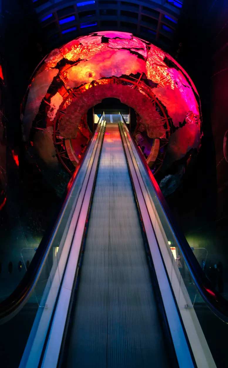 Entry 10811418