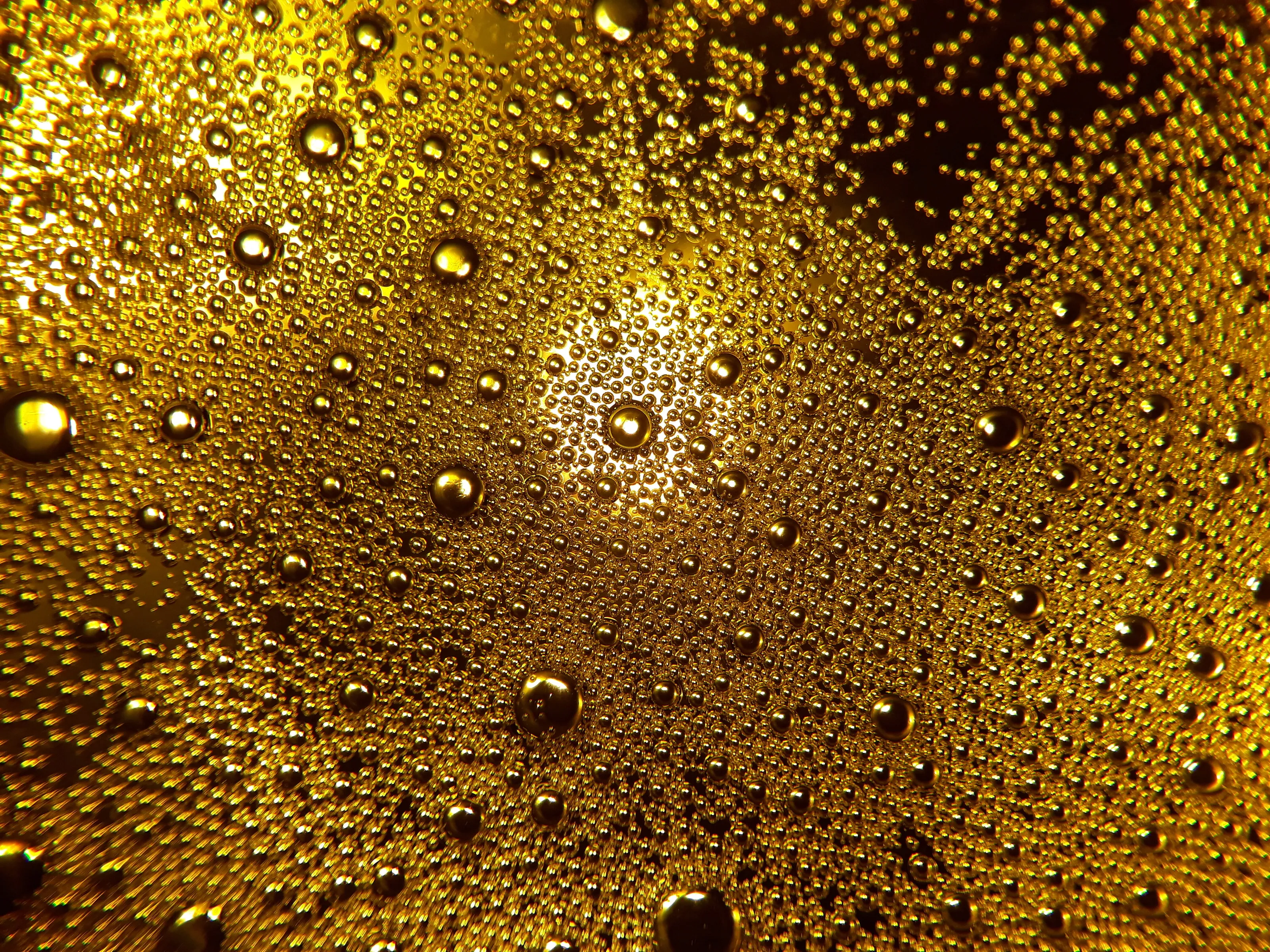 beer