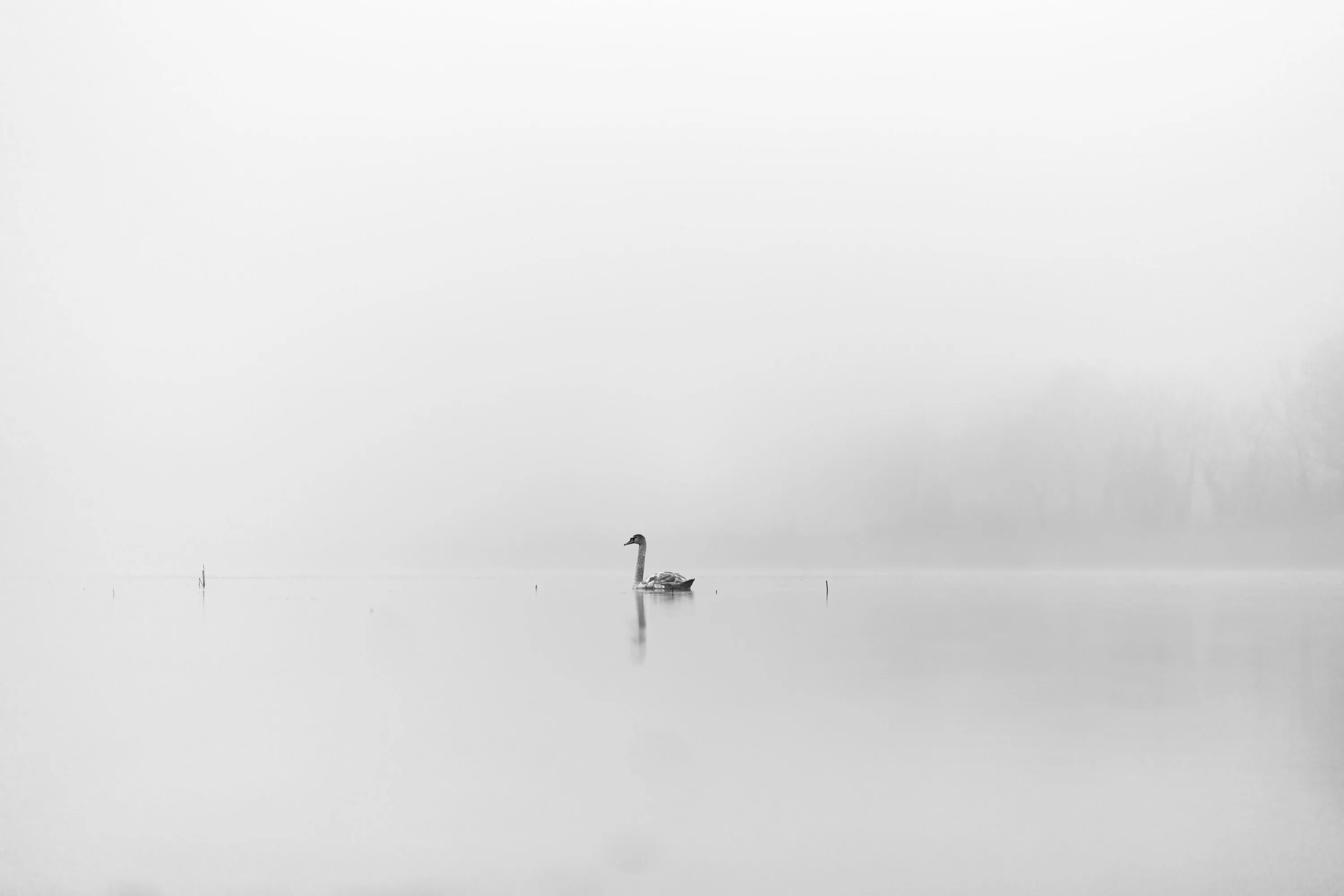 State of Serenity