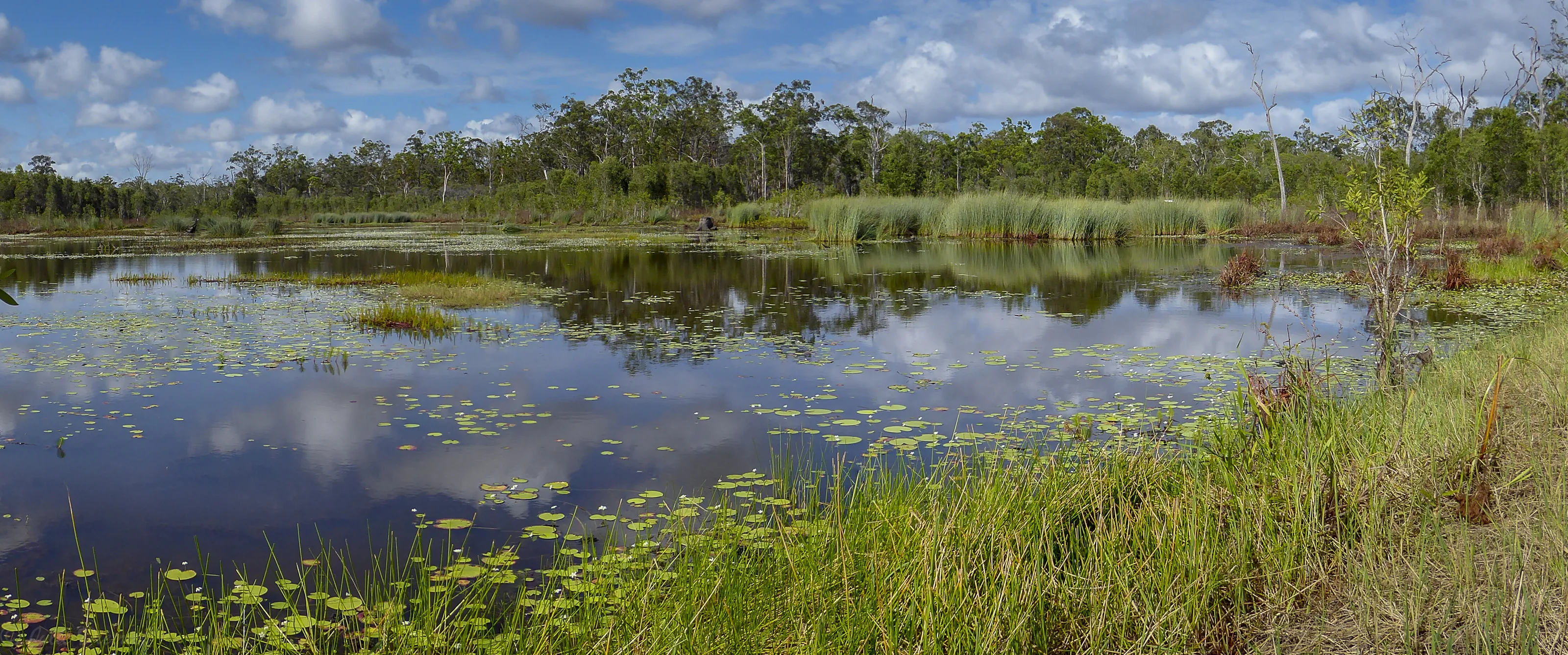 Wongi Waterholes landscape