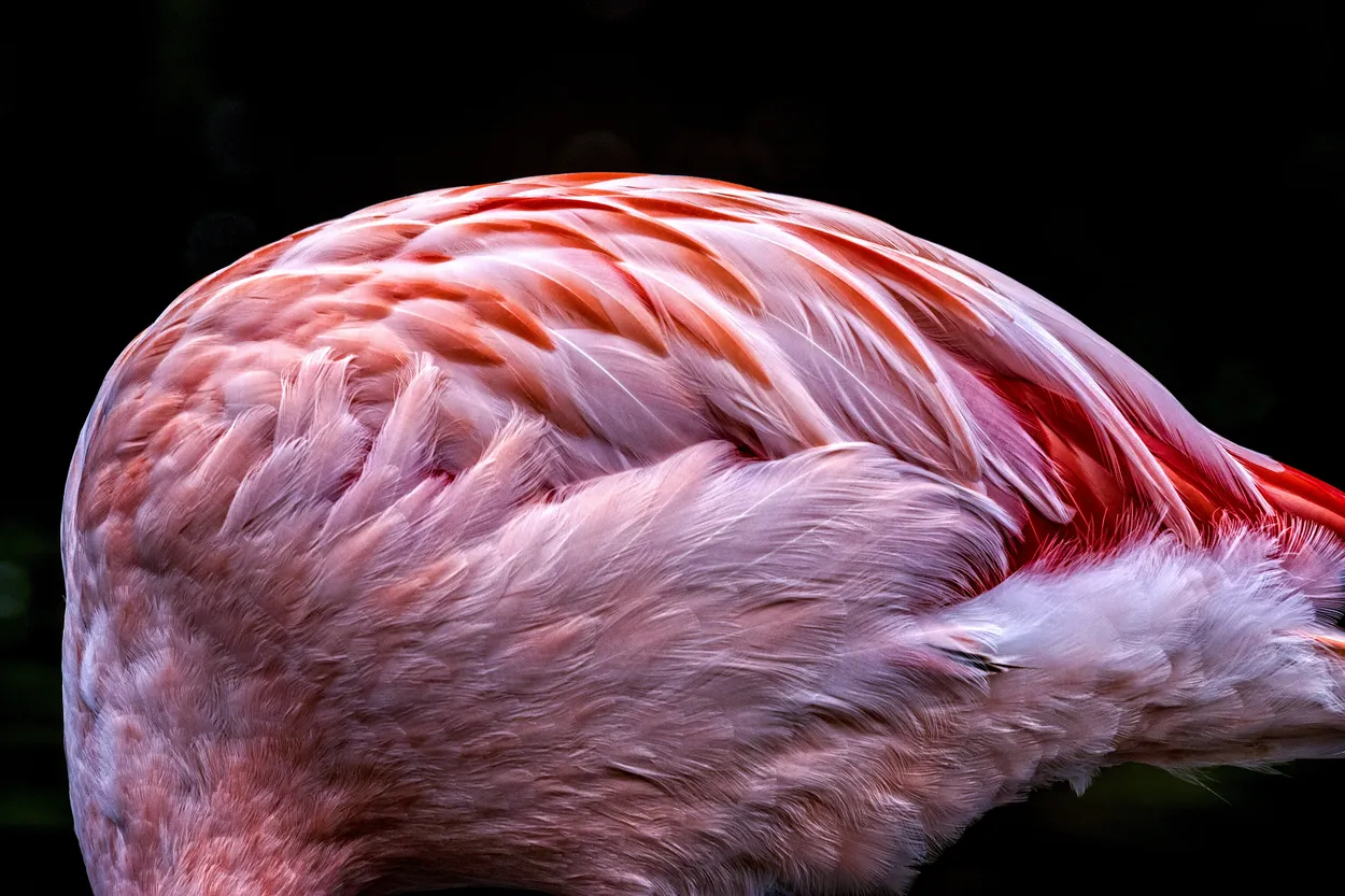 Entry 7521663