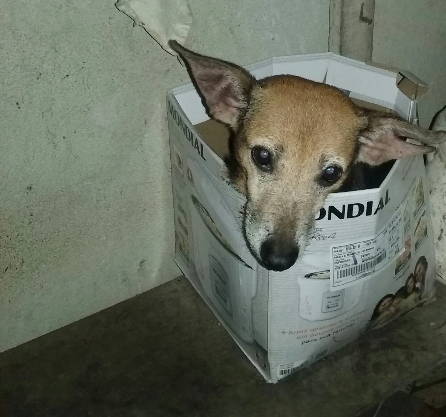 In the box
