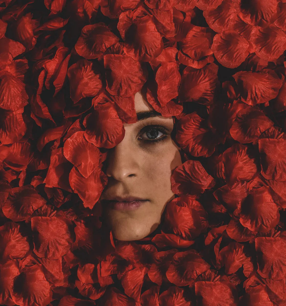 Entry 3699036