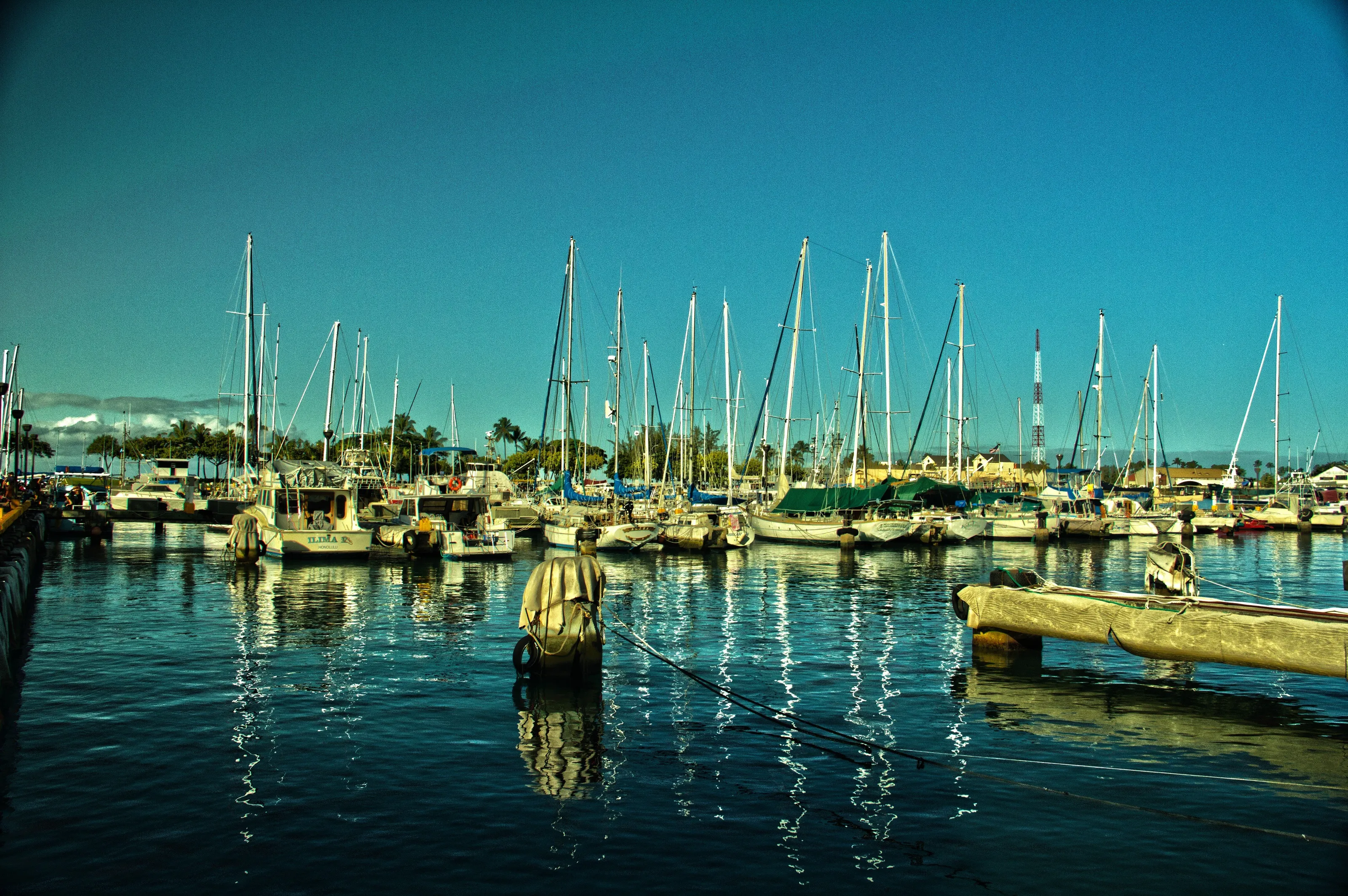 Tranquil Harbor