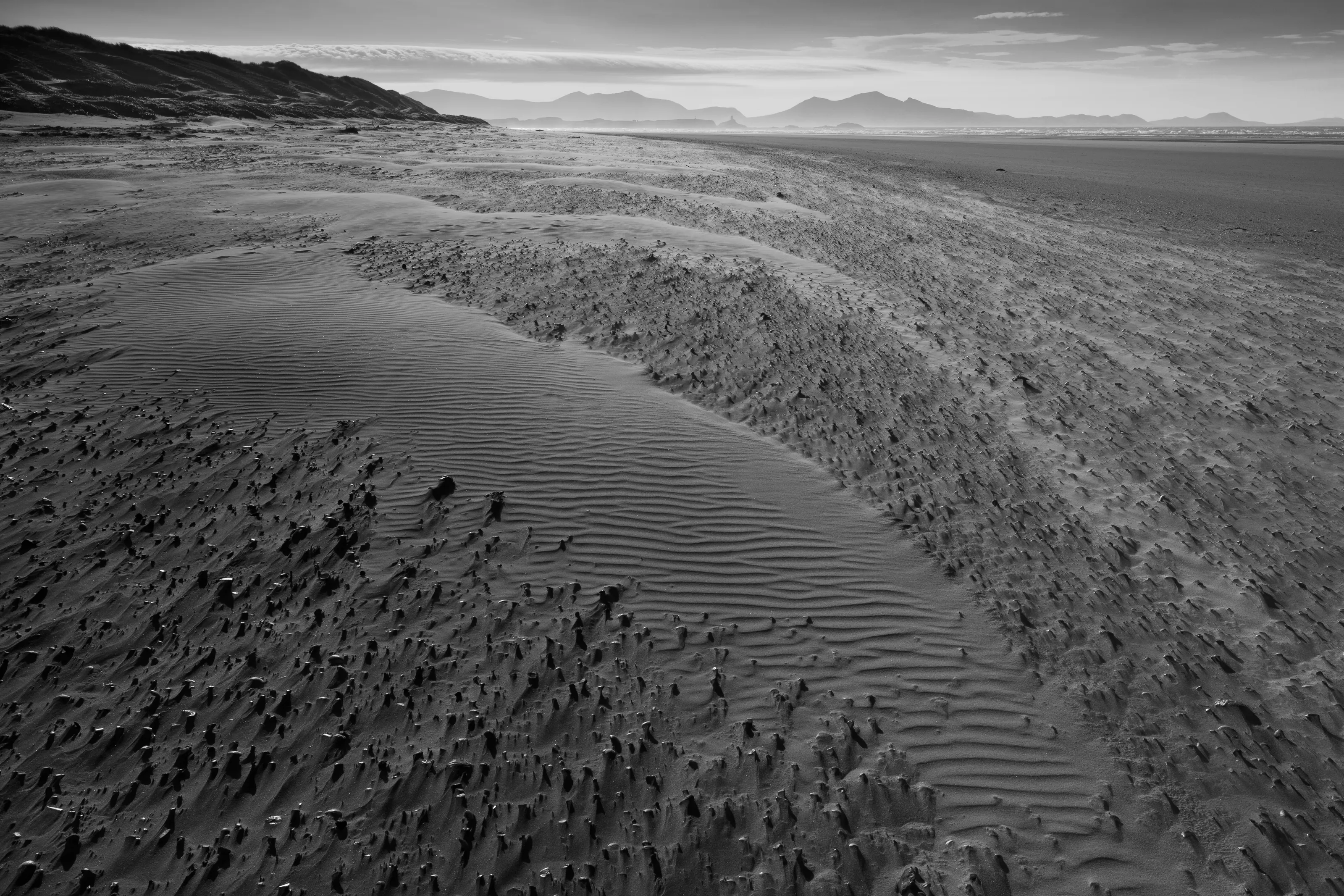 Wind-blown sand patterns