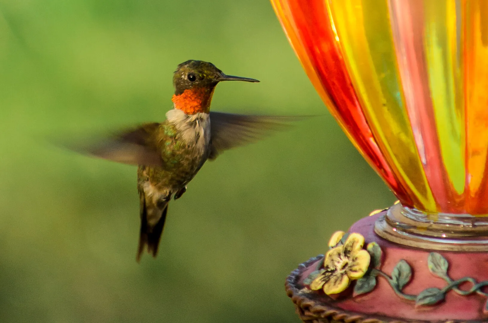 My Little Hummer