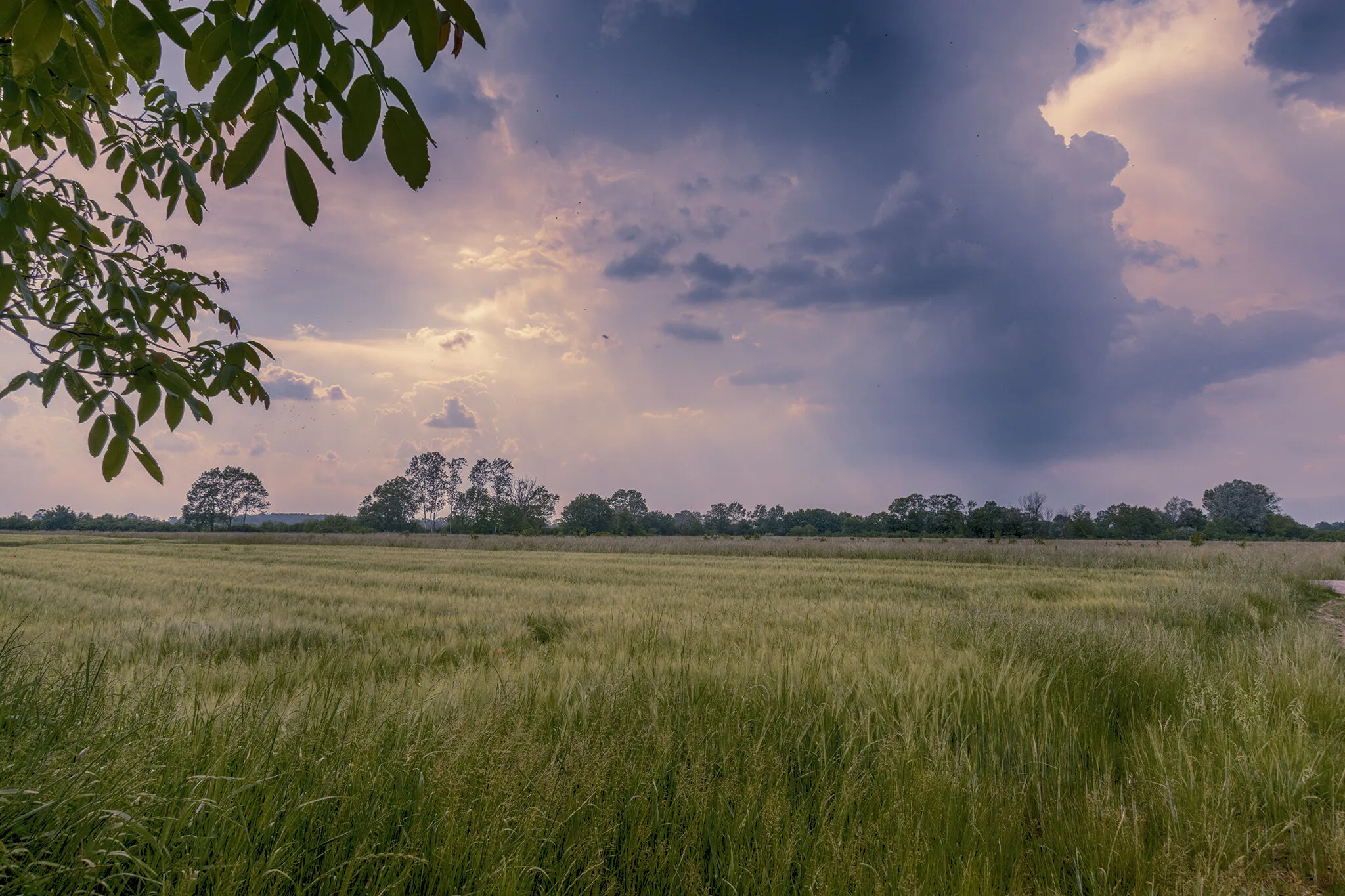 Landscapes
