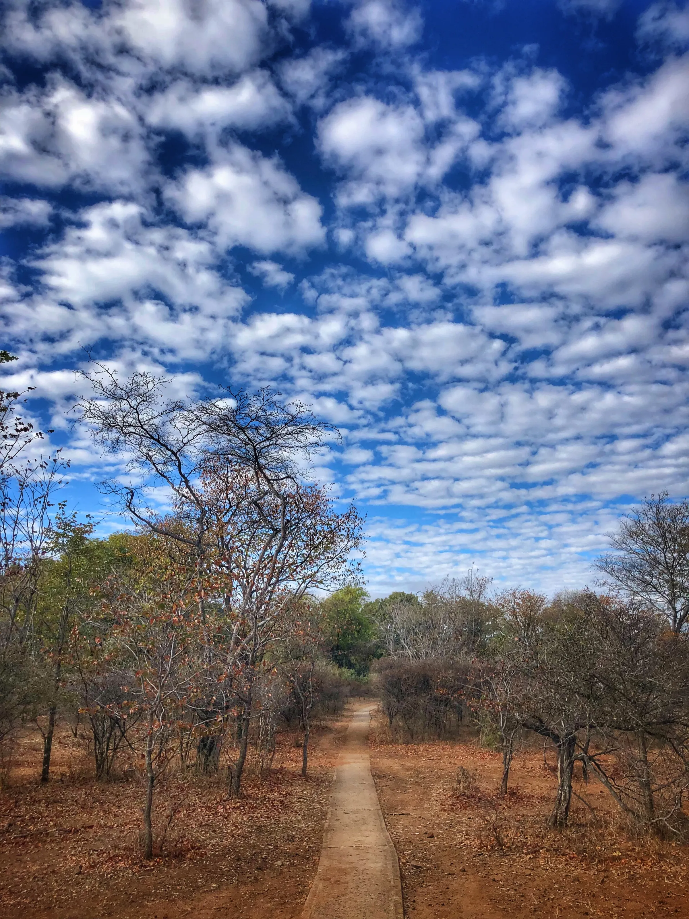 Mosi-oa-Tunya National Park, Zambia