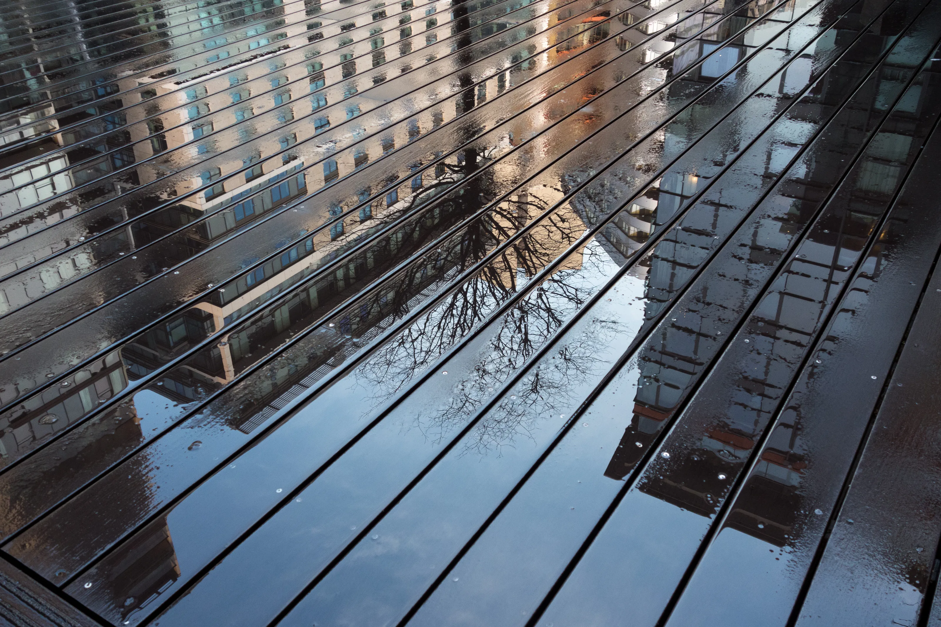 Reflections on Deck