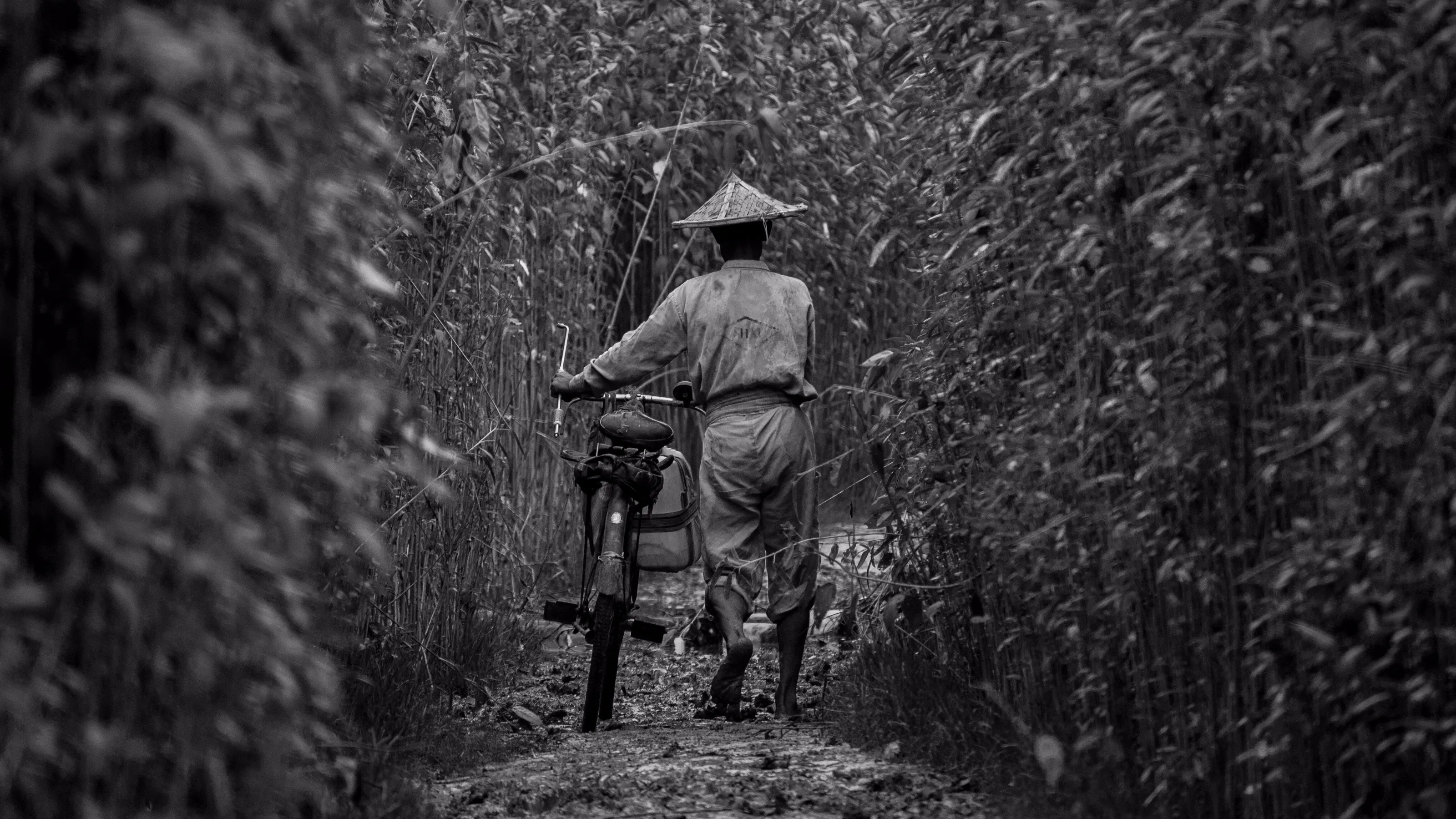 farmer