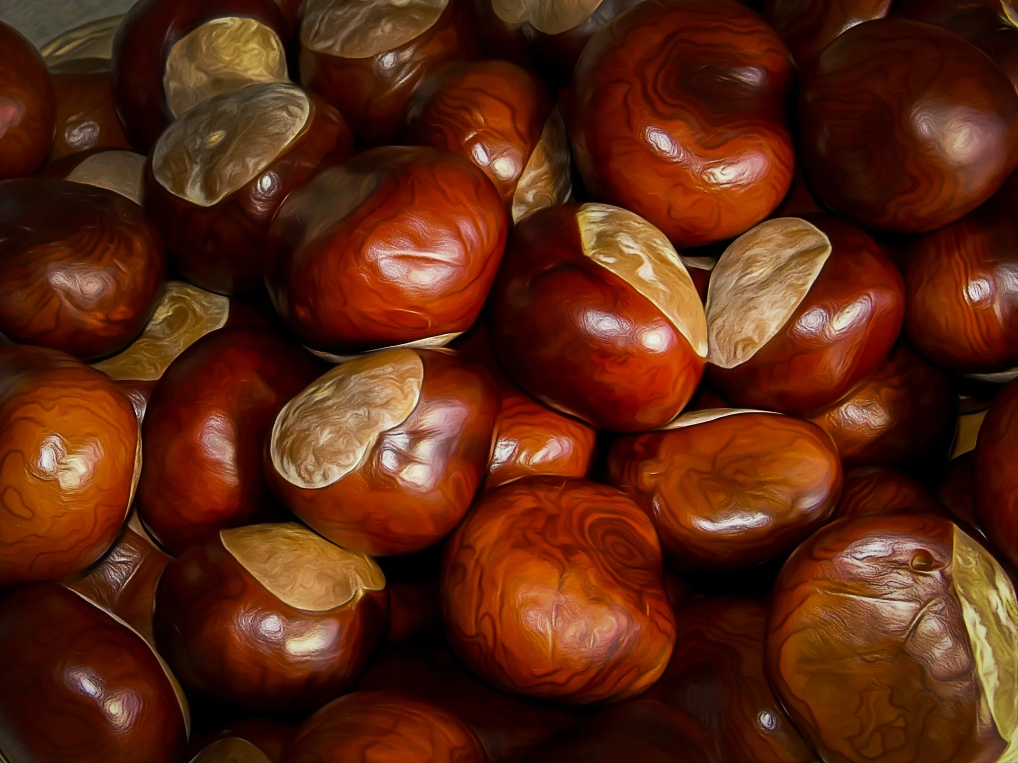 Conkers!