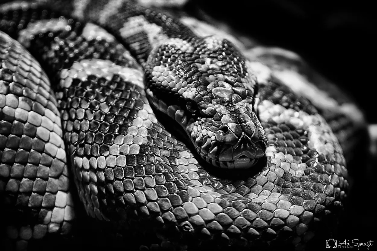 Entry 5884734