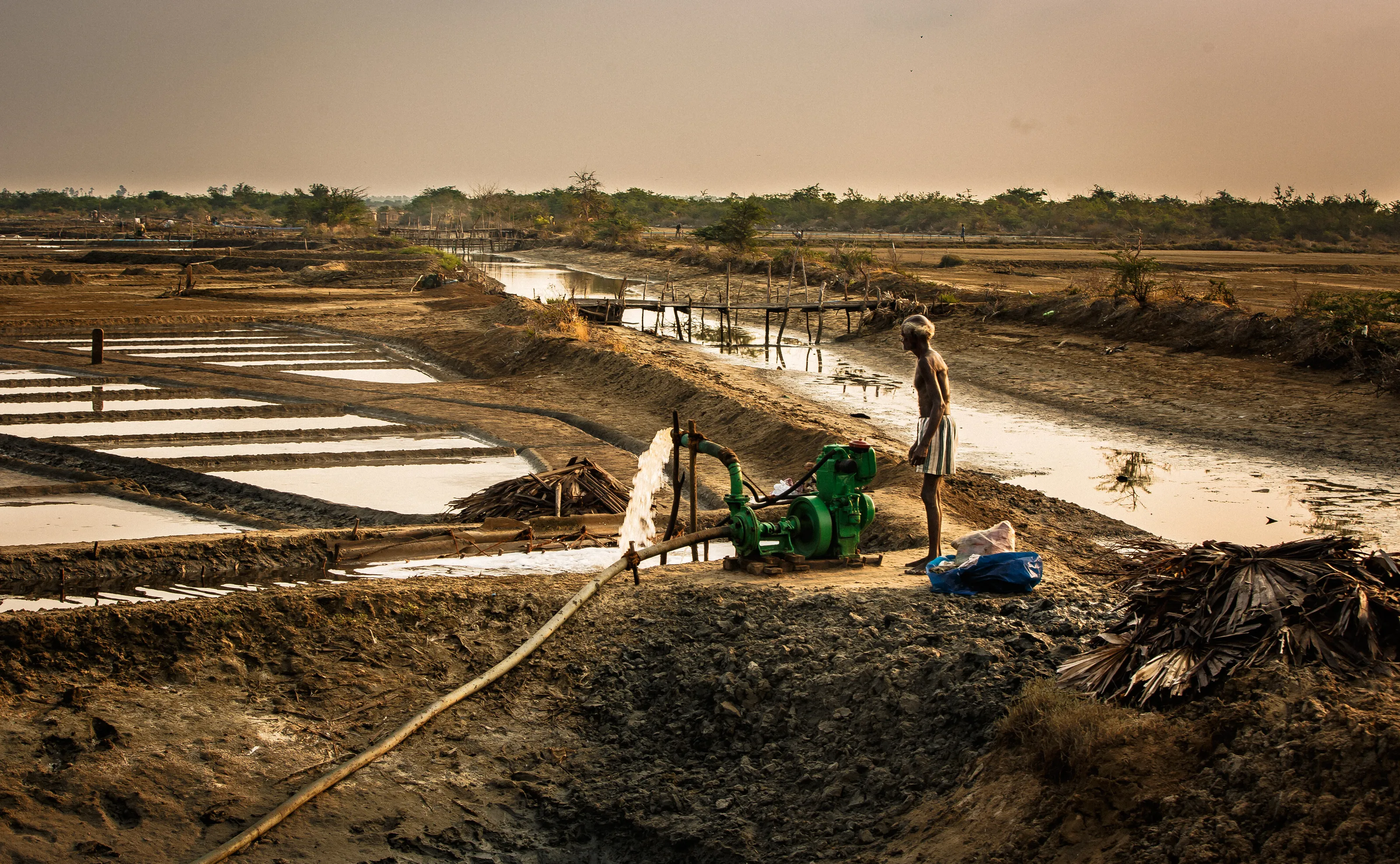 daily life .agriculture in India