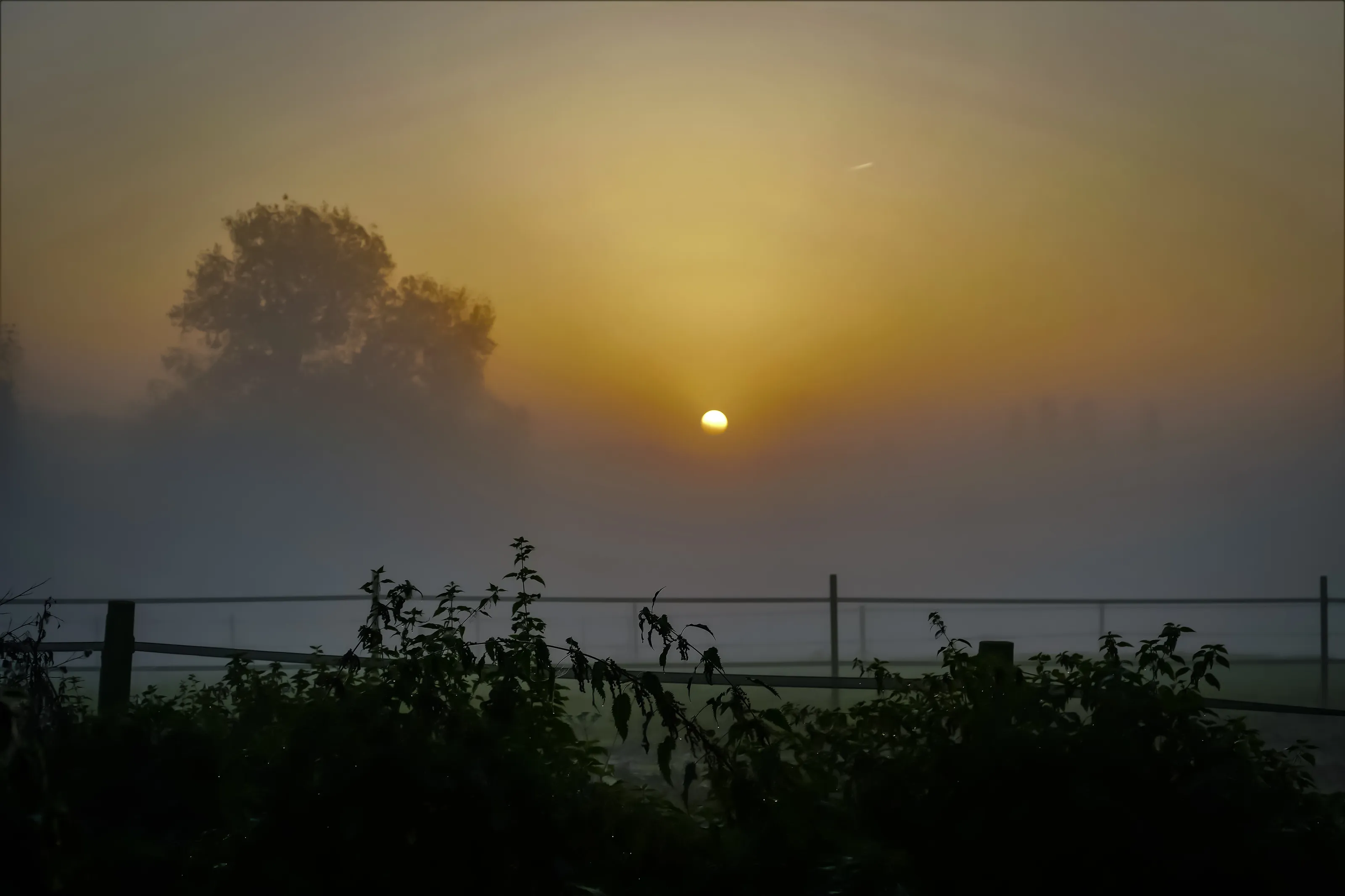 First Light