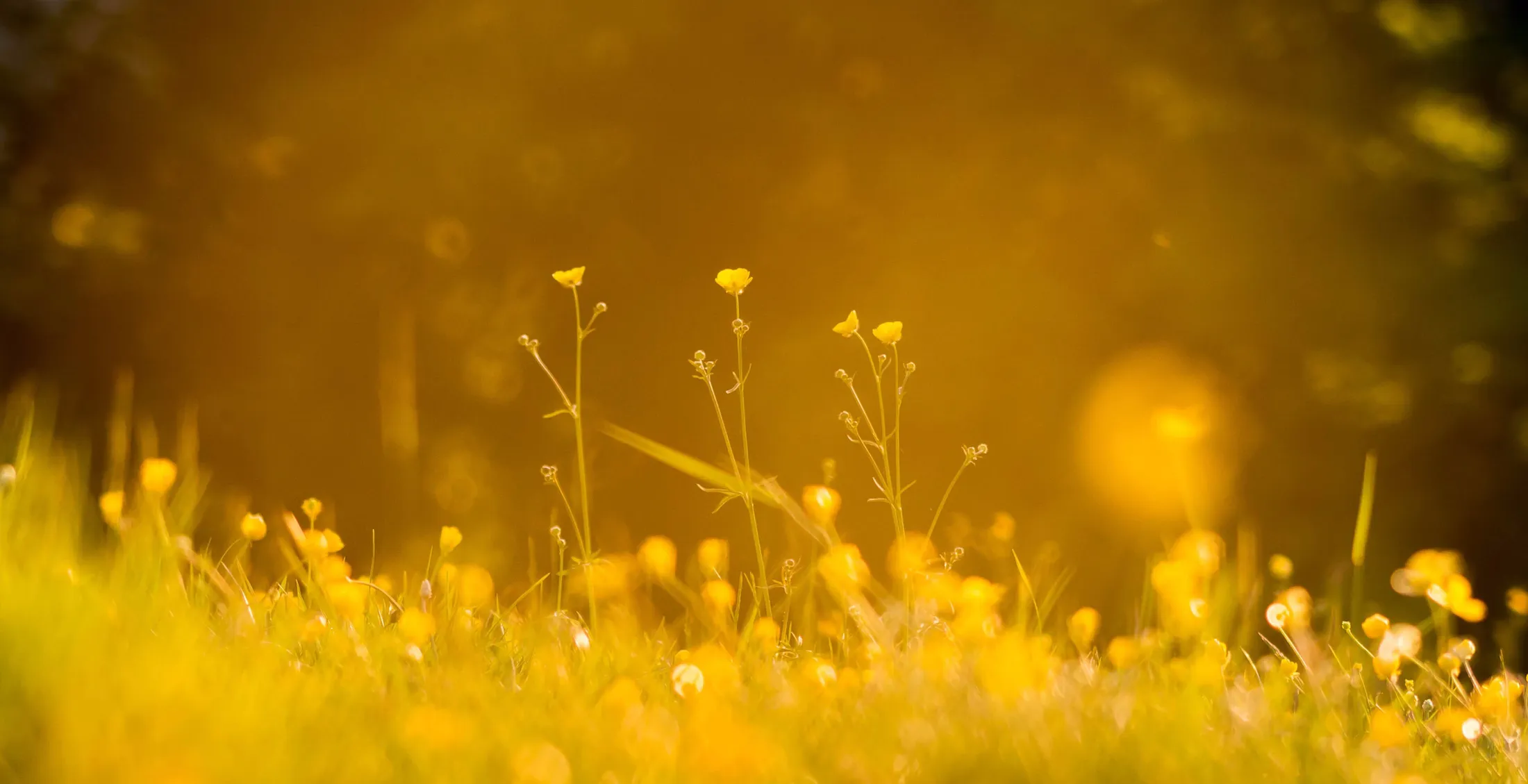 Entry 201882