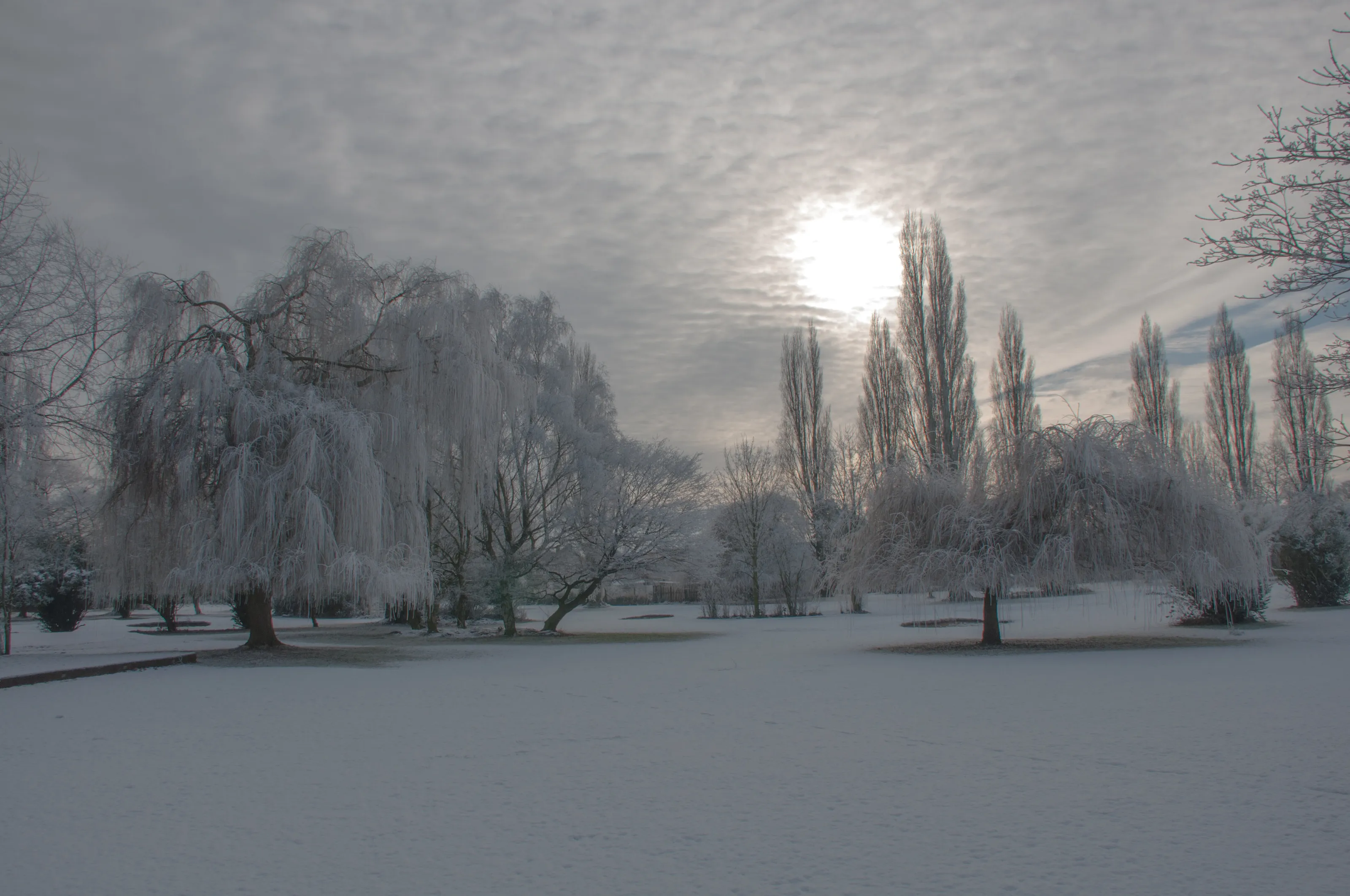 Winters day on the golf course