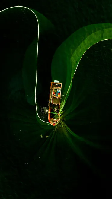 The Green Sea