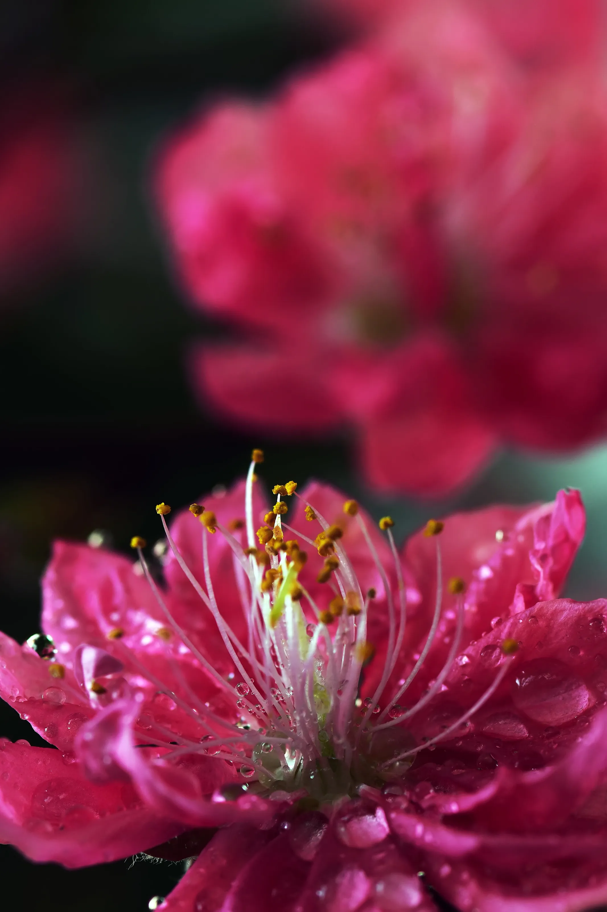 Spring colors
