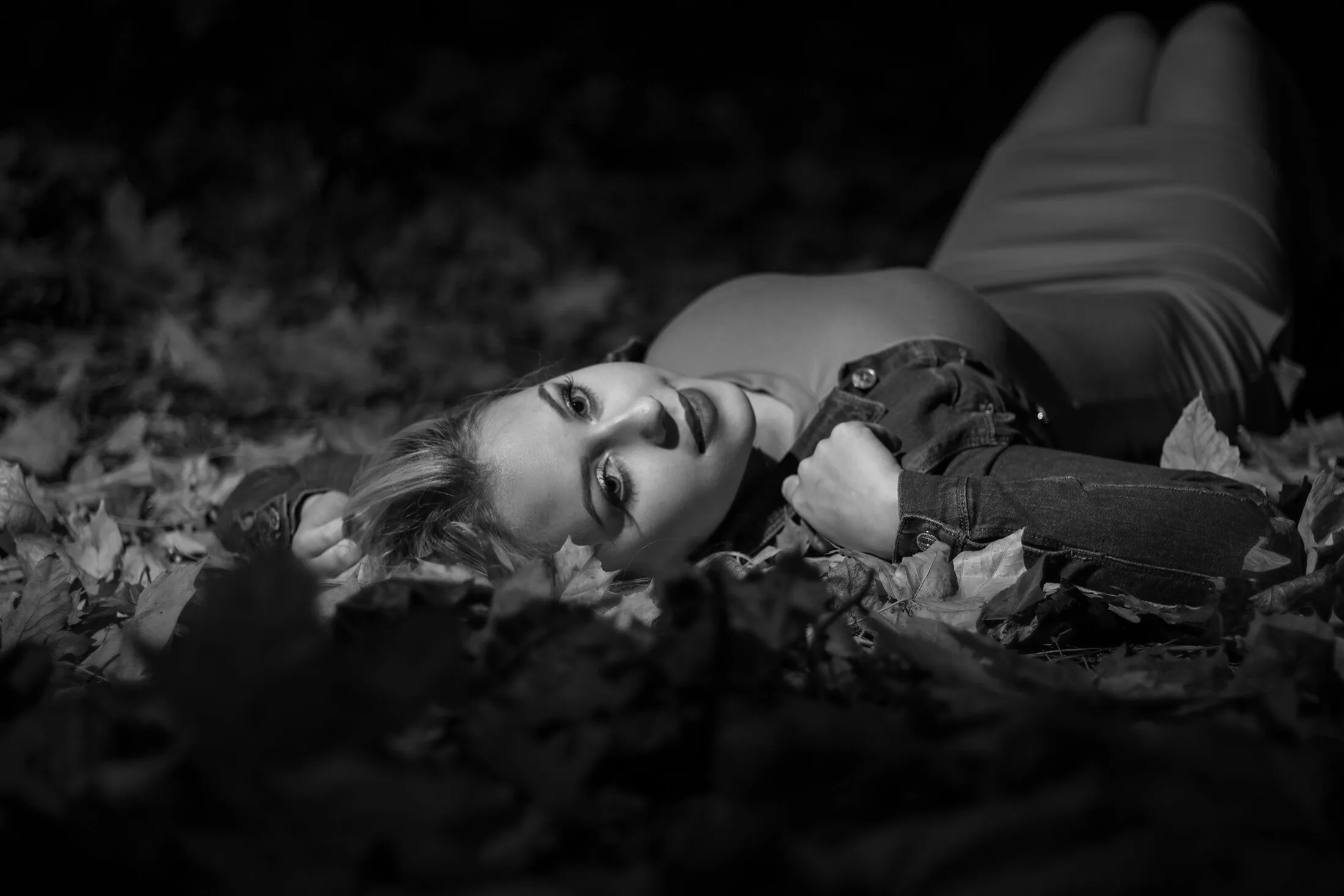 beauty in the shadows of the forest