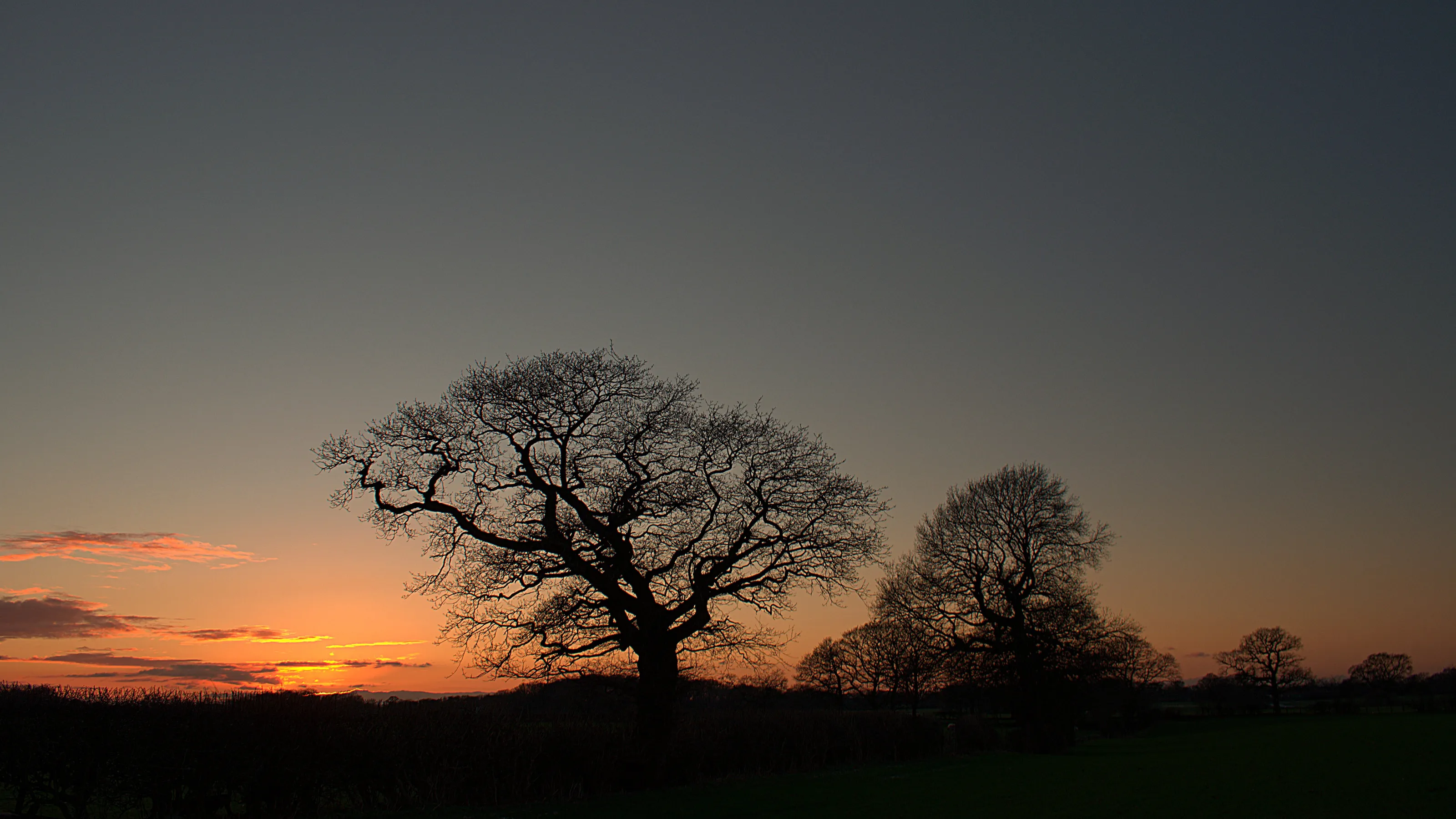 Sunset silhouette