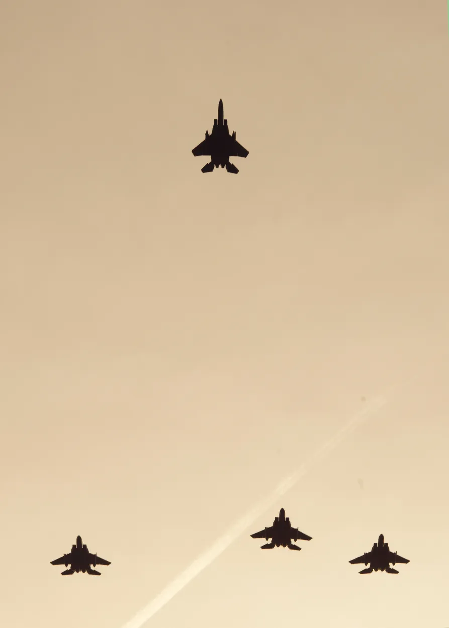 Entry 11771235