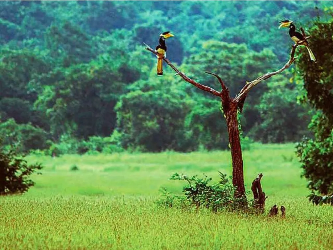 Sindurang Maharashtra