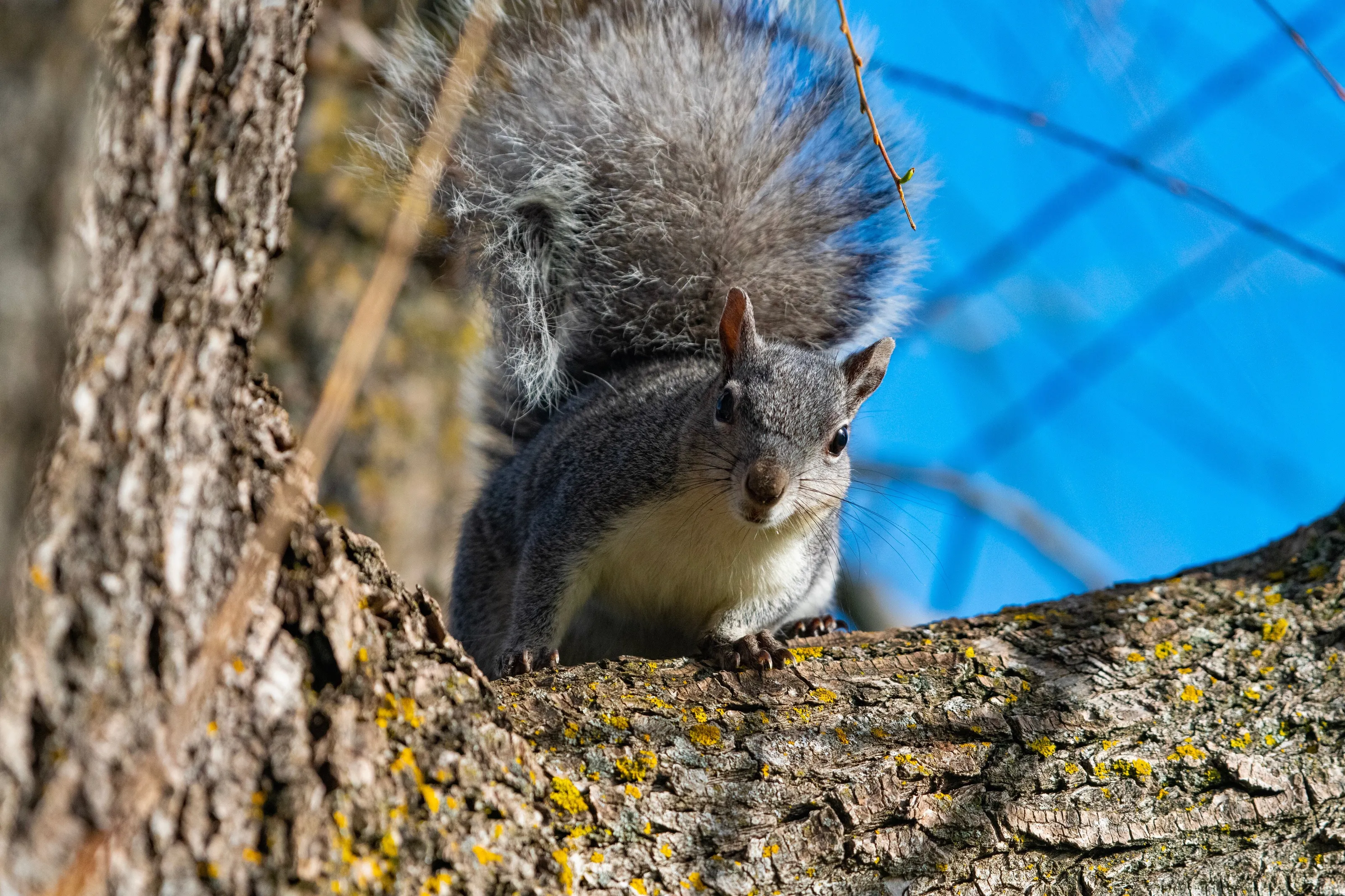 Checking you out!