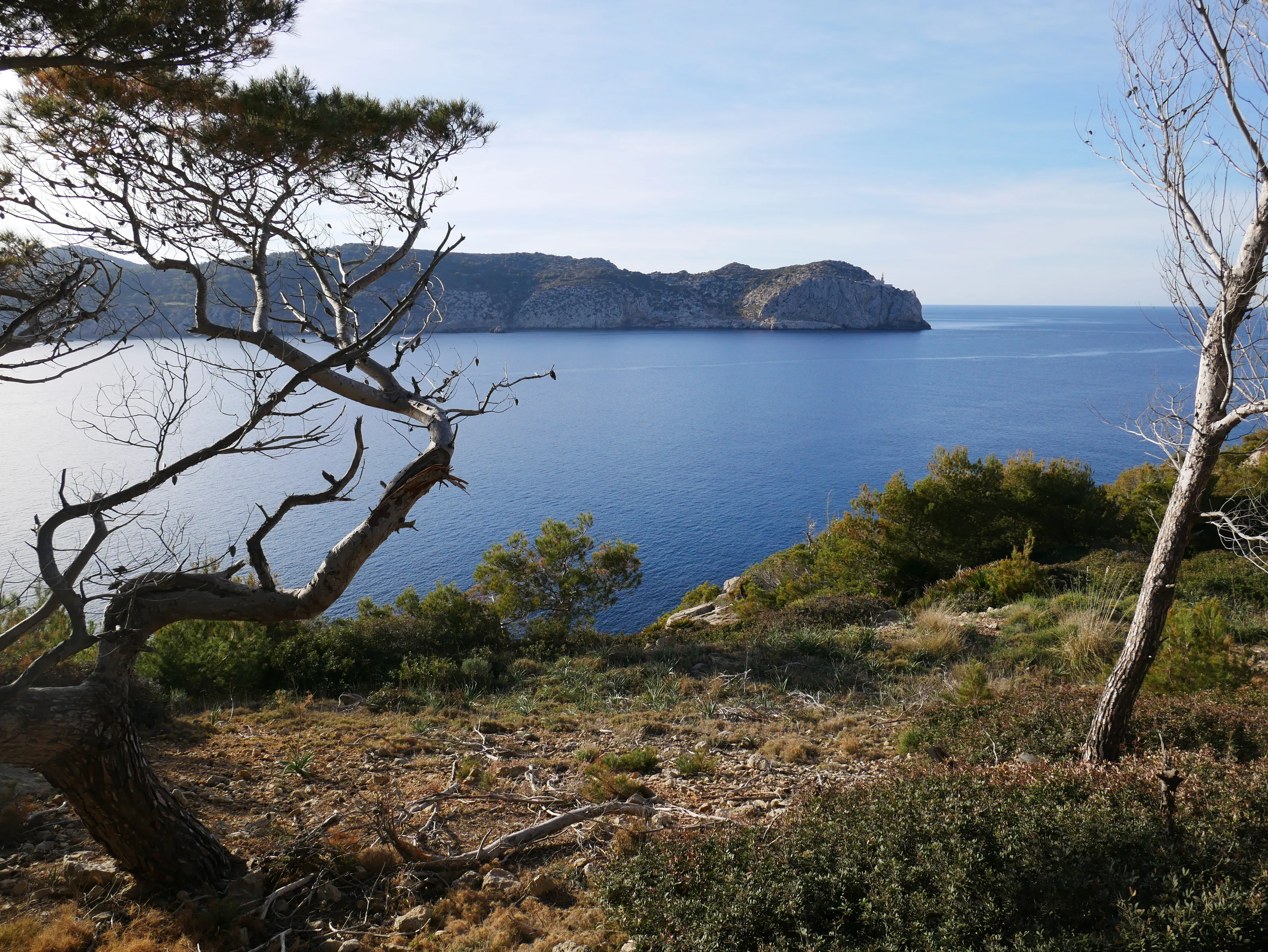 Sant Elm
