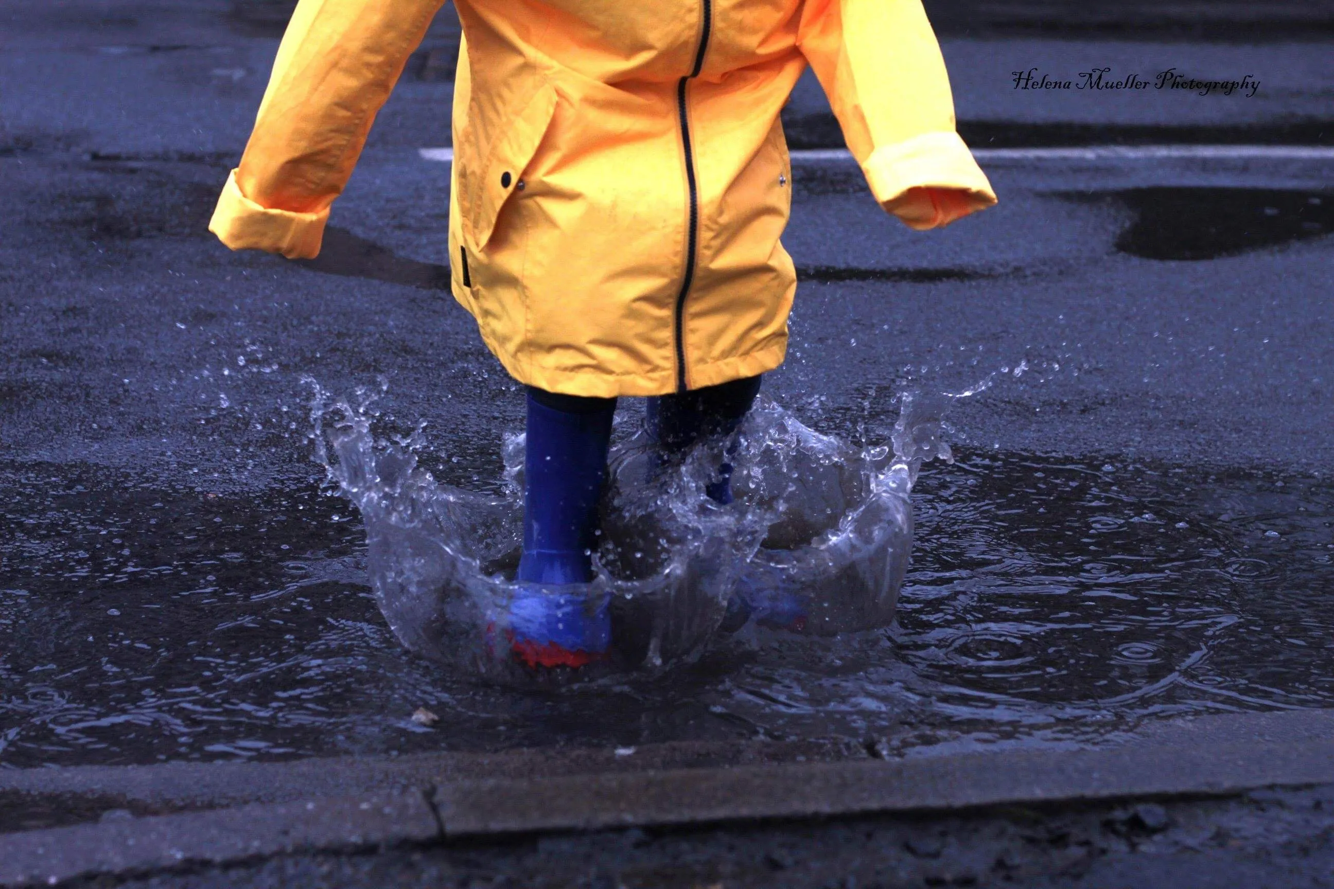 Splish Splash