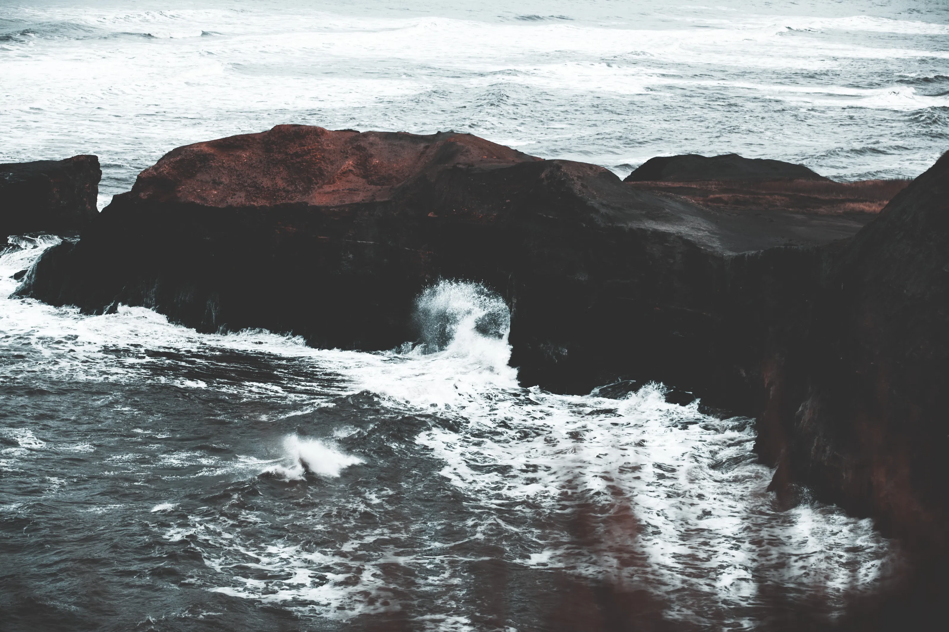 Banner image