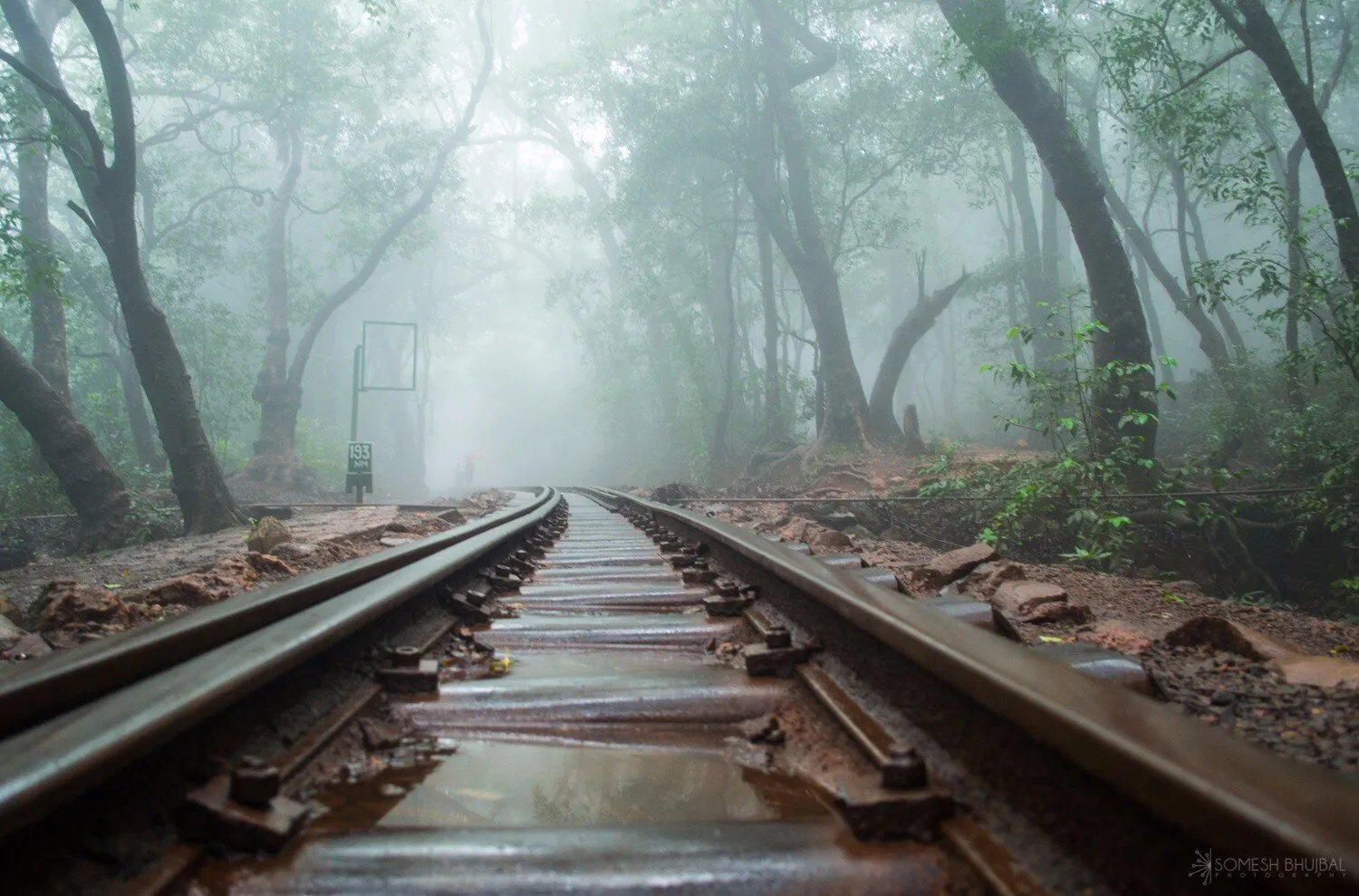 Train Track