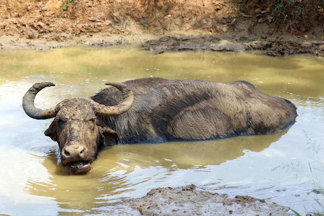 Cooling off