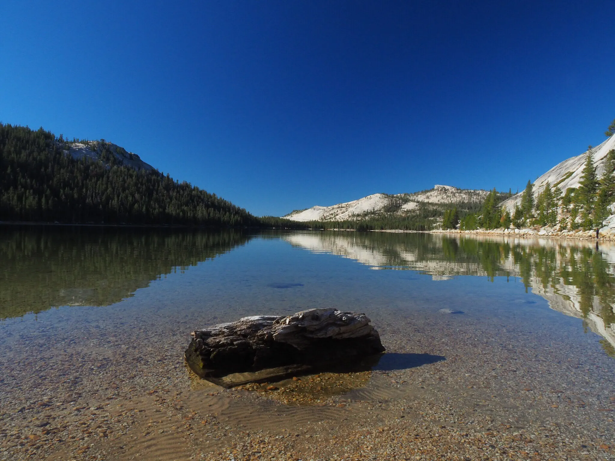 Lake Stilllife