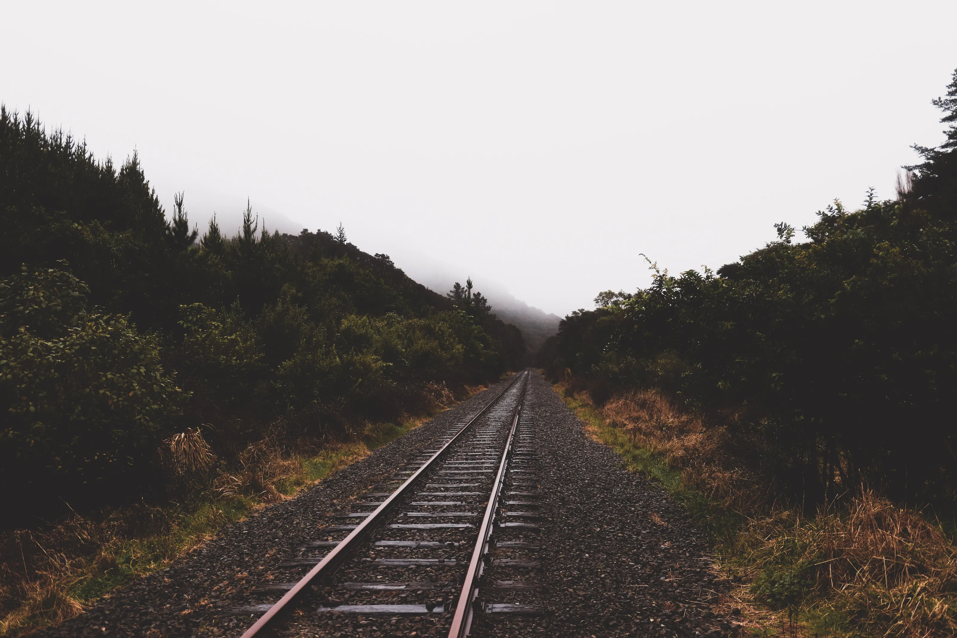 Foggy day as rails shine