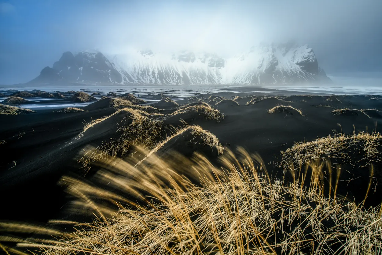 Wispy Grasses on the Dunes of Stokksnes