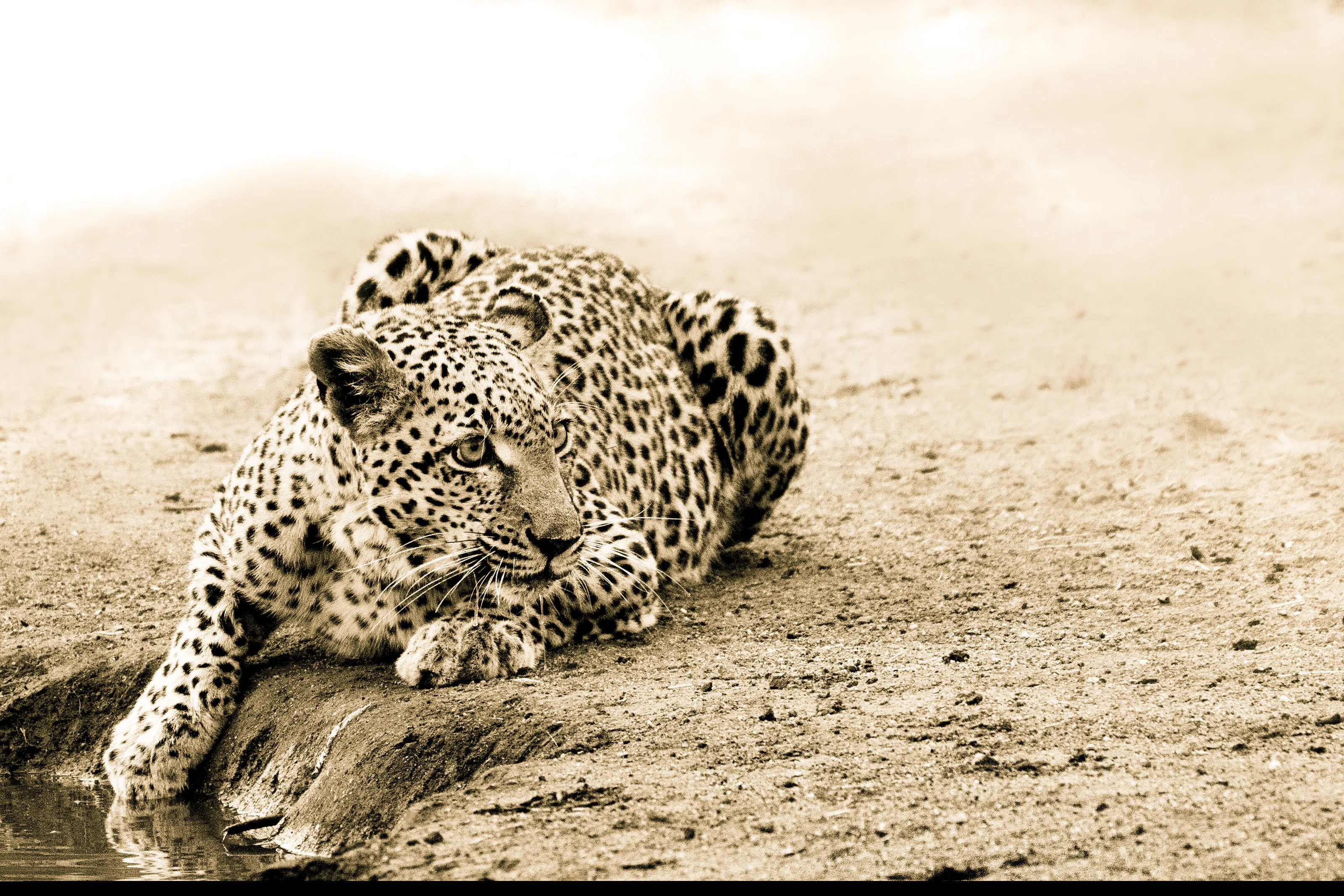 On Watch
