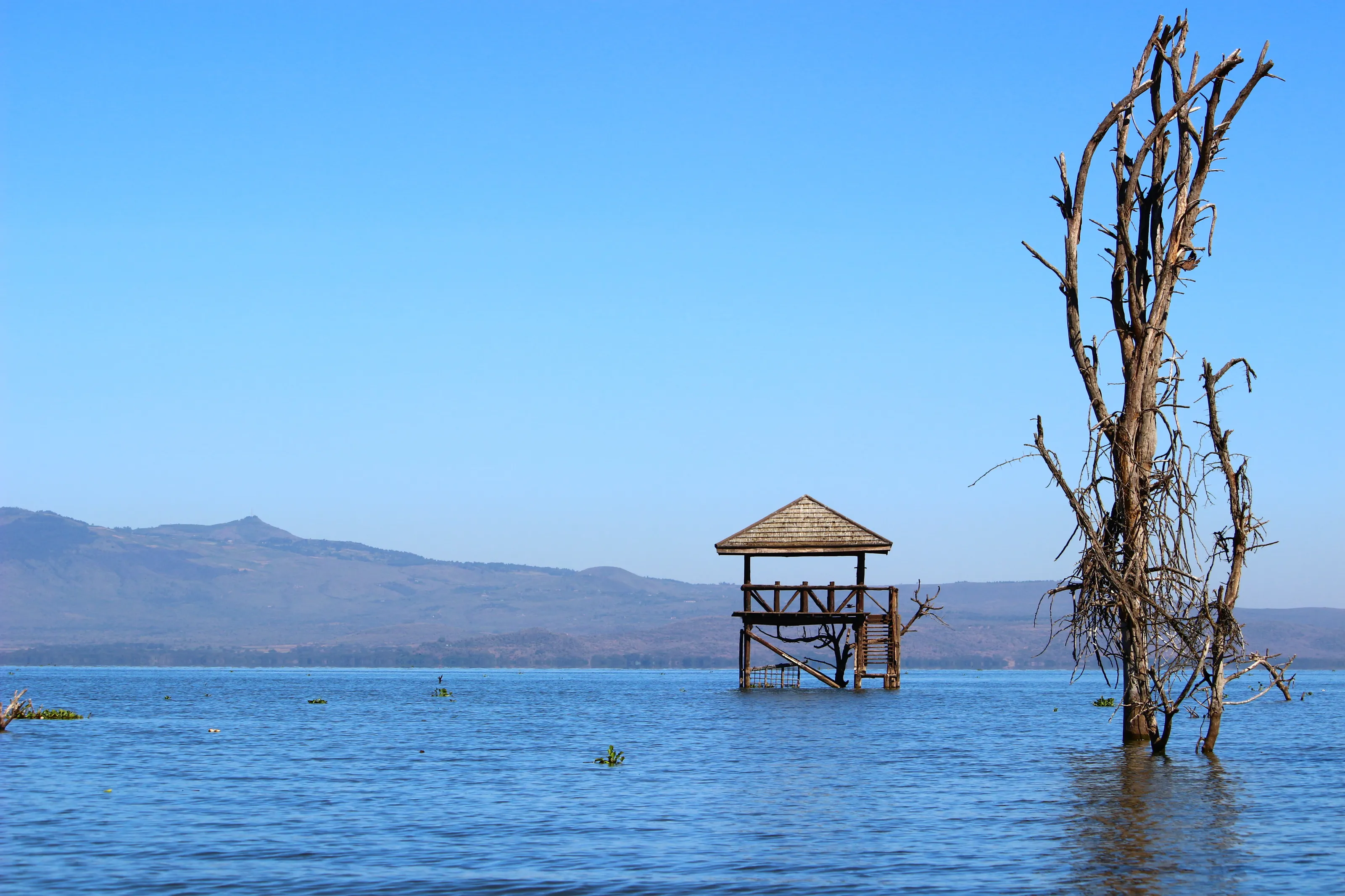 Kenya: a brief escape from the wedding crowds