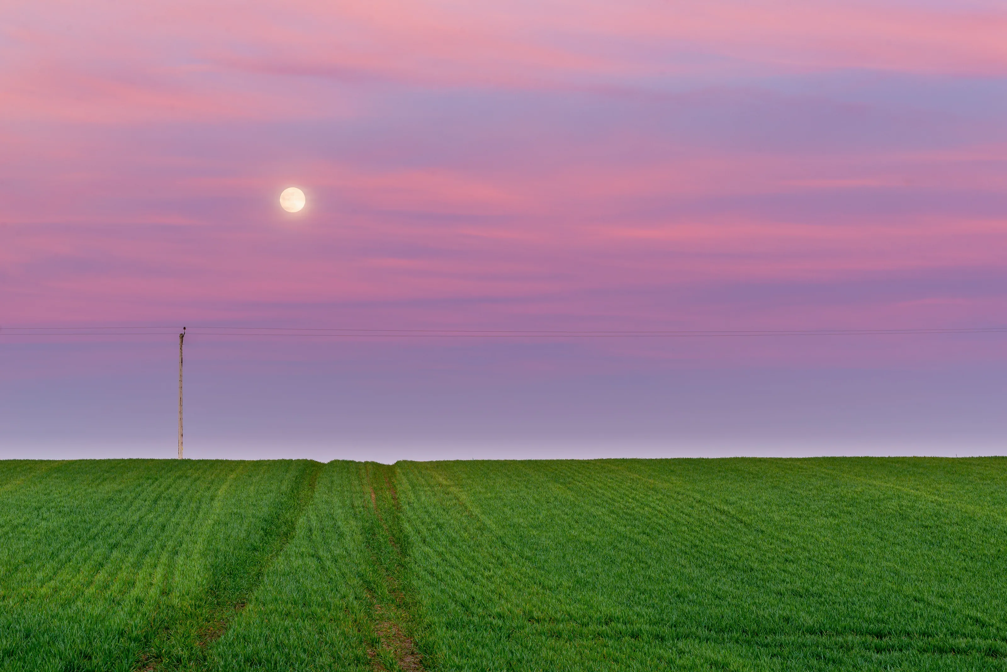 Purple Super Worm Moon
