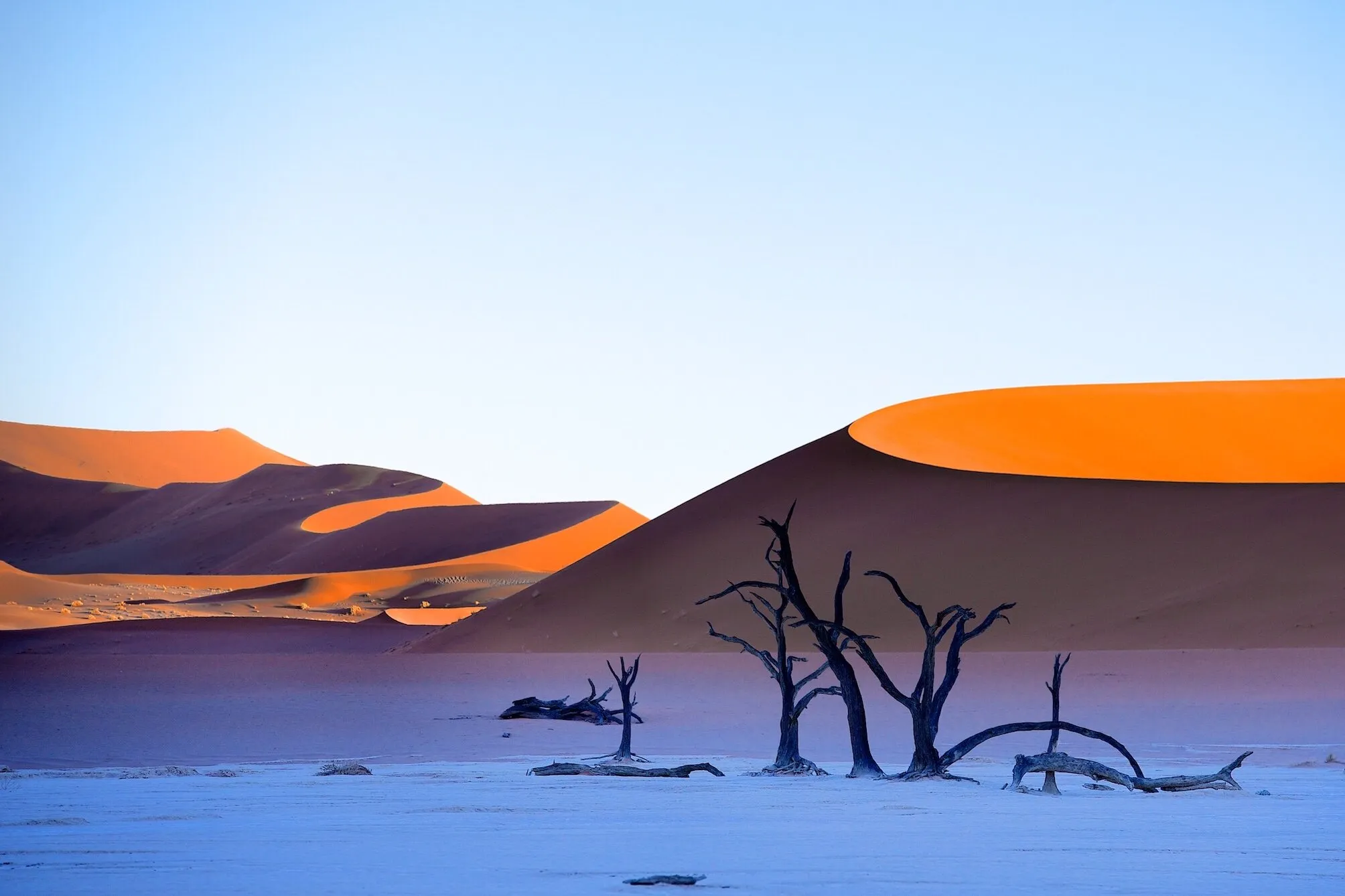 Dawn in the vlei
