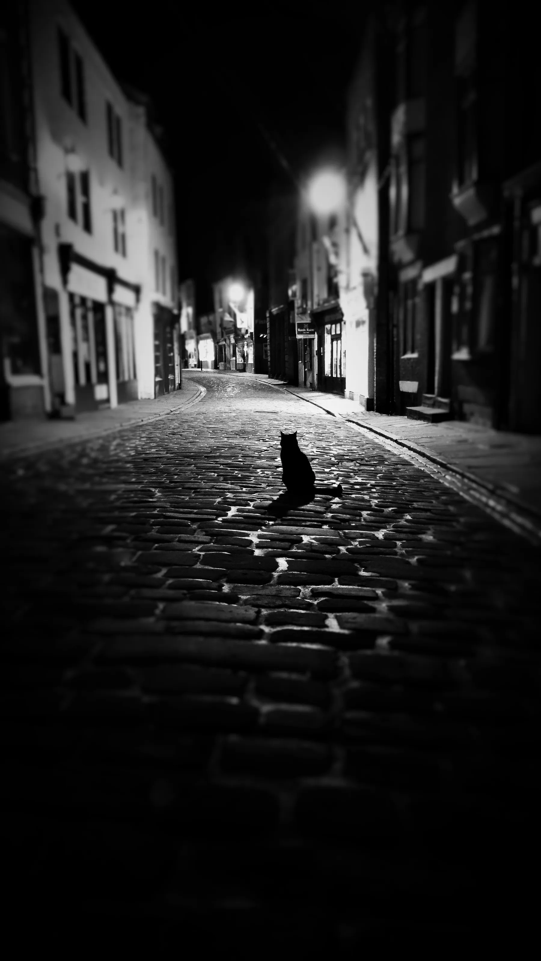 The lone protector