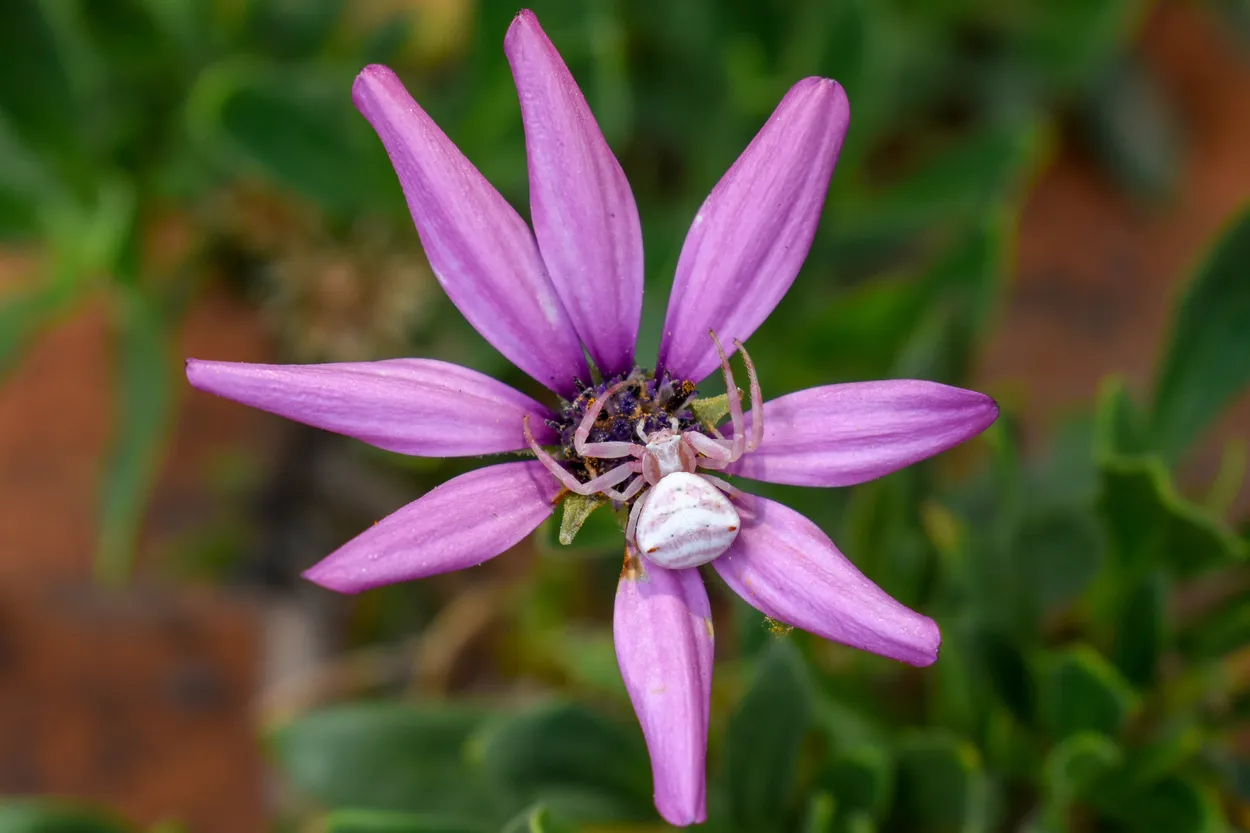 Entry 3862400