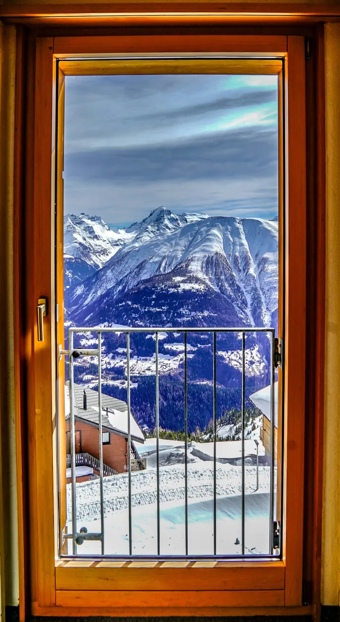 Entry 21906229
