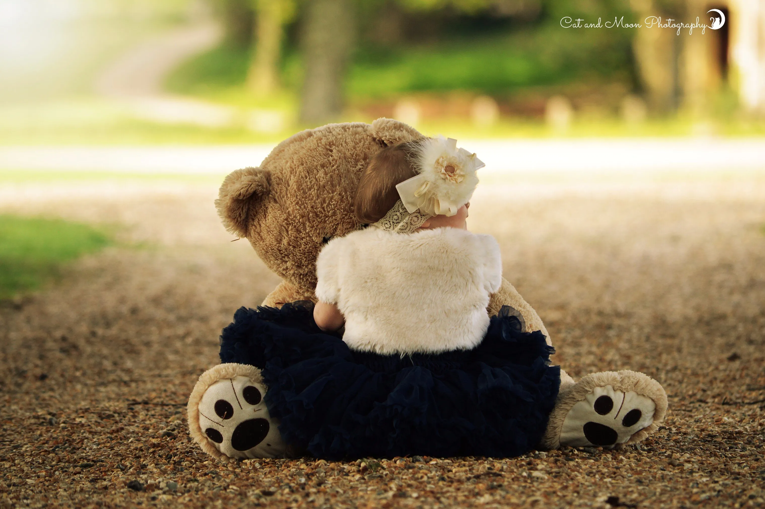 Cuddles on the street