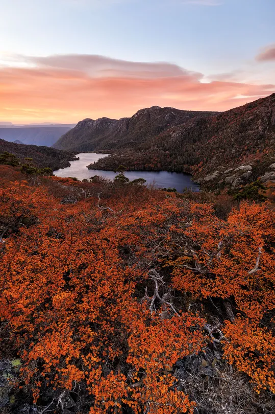 Autumn changes from beginning to end.  Dawn.  The middle of Autumn