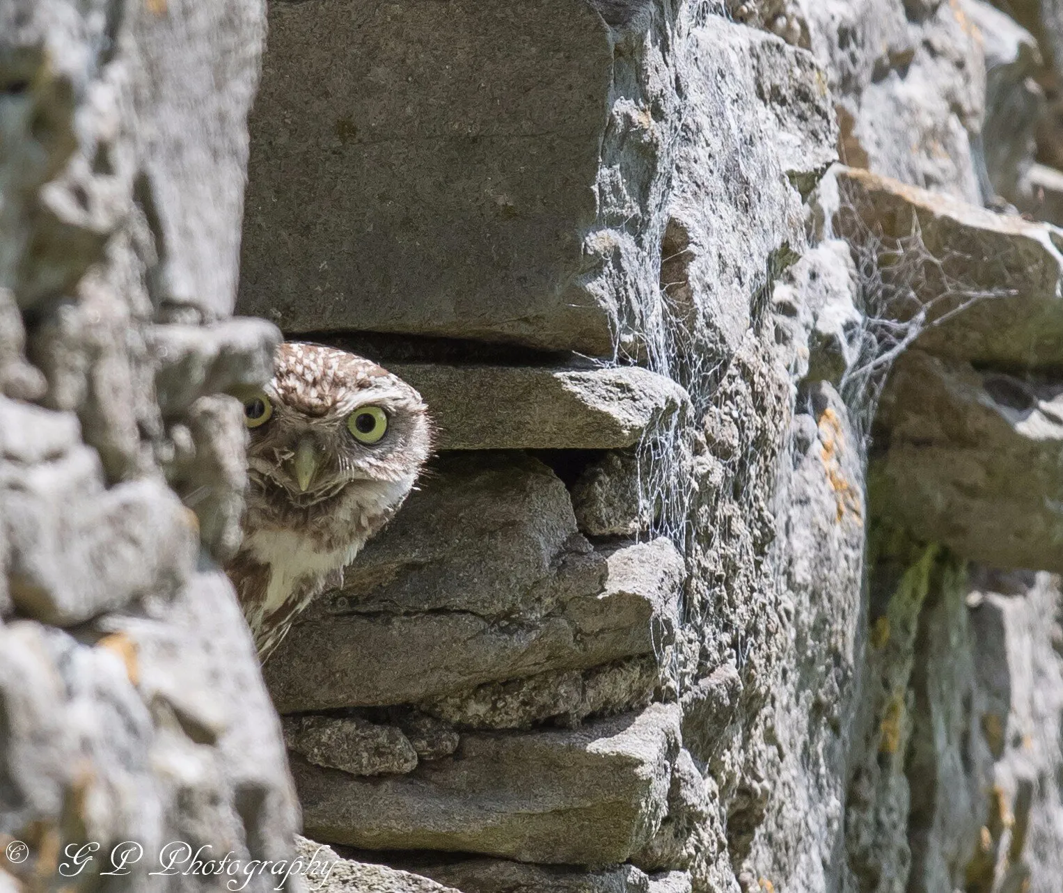 I can see you!