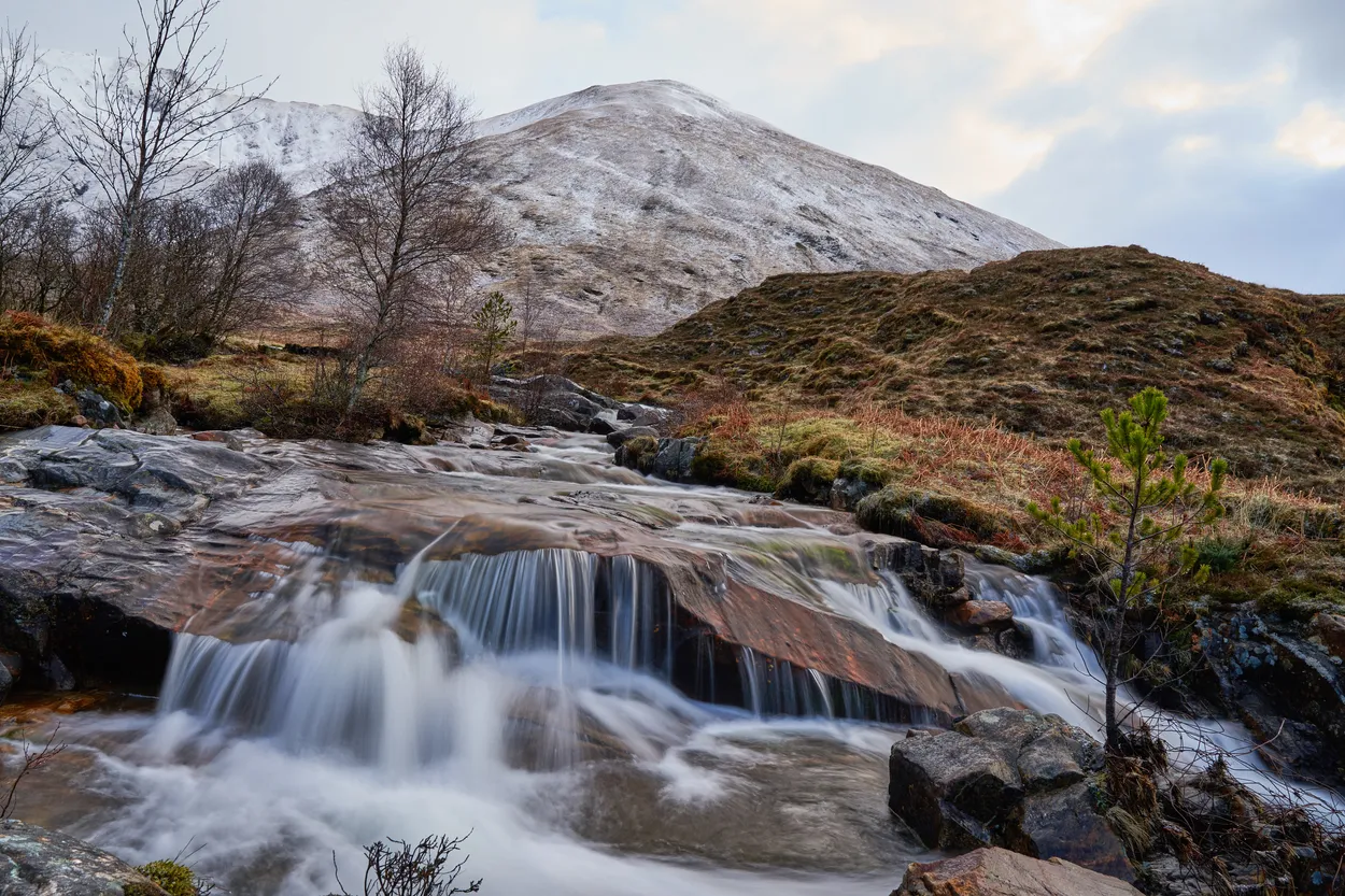 Entry 4275921