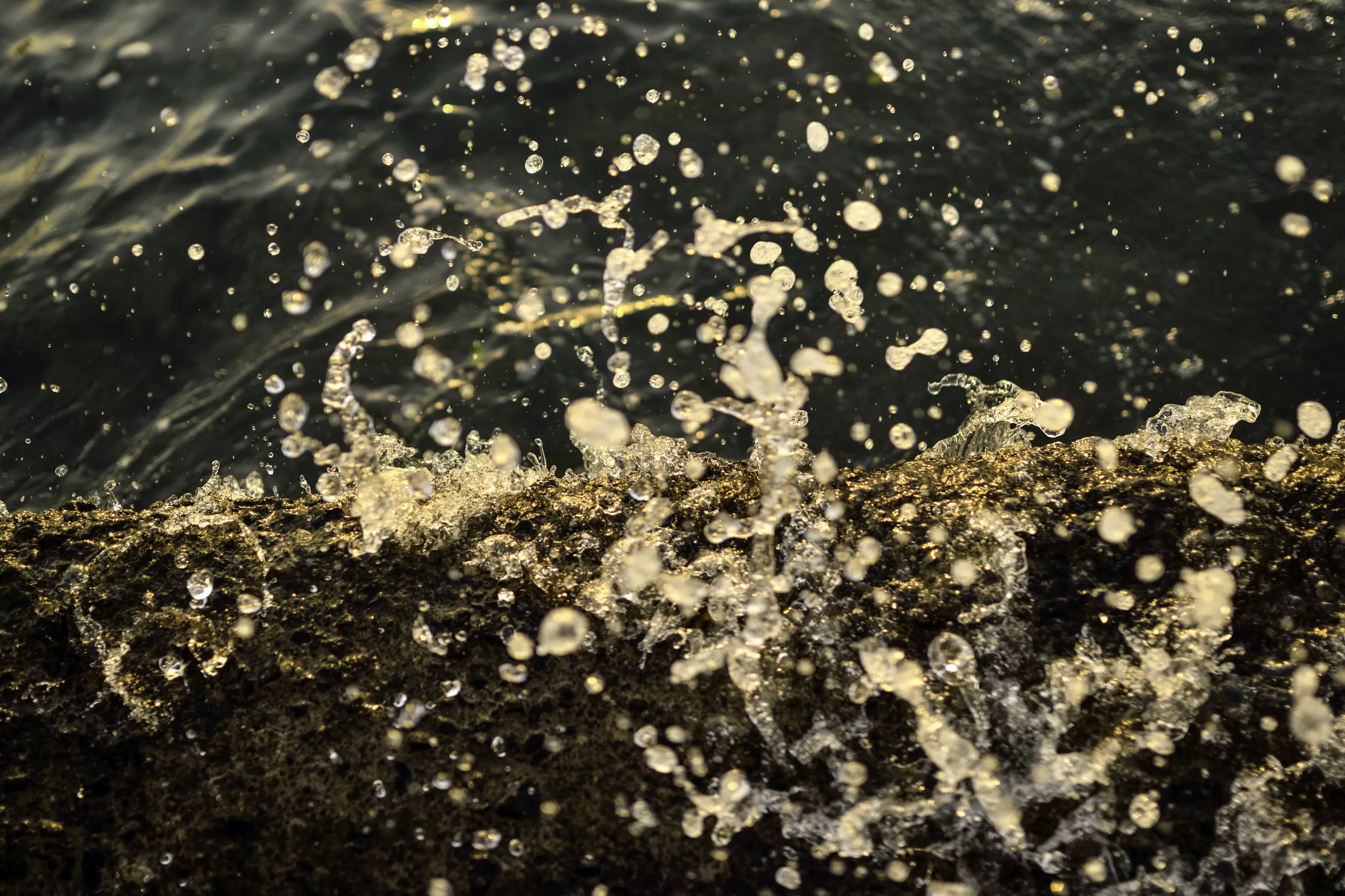 Splash