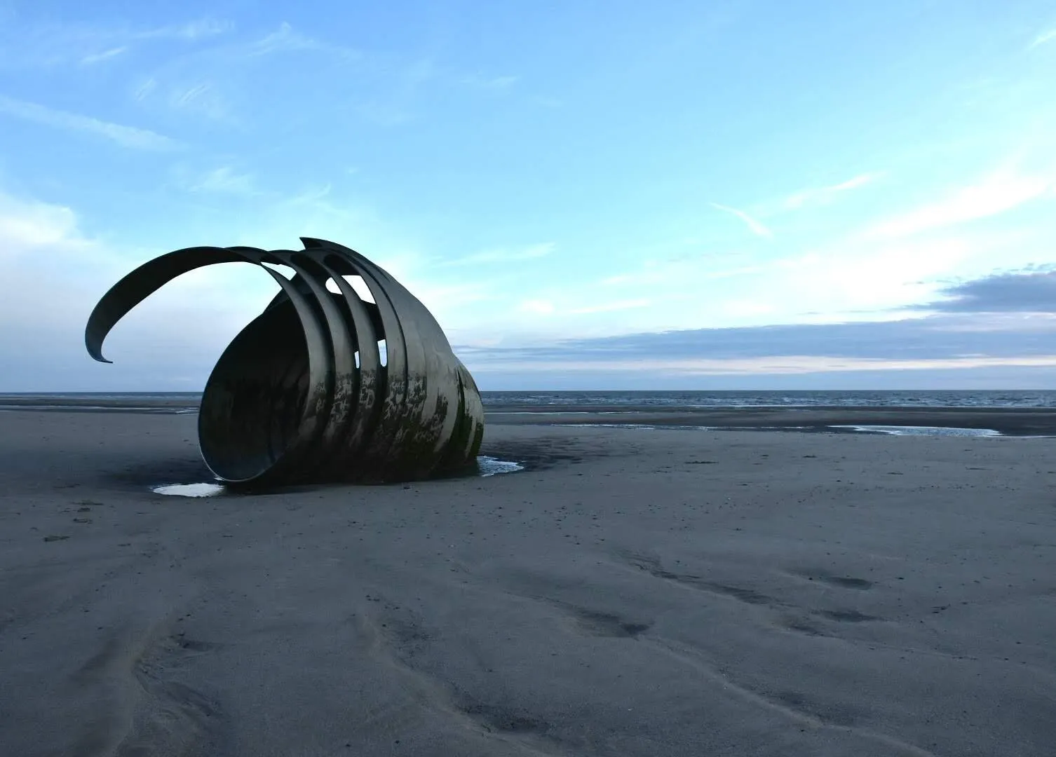 Shell
