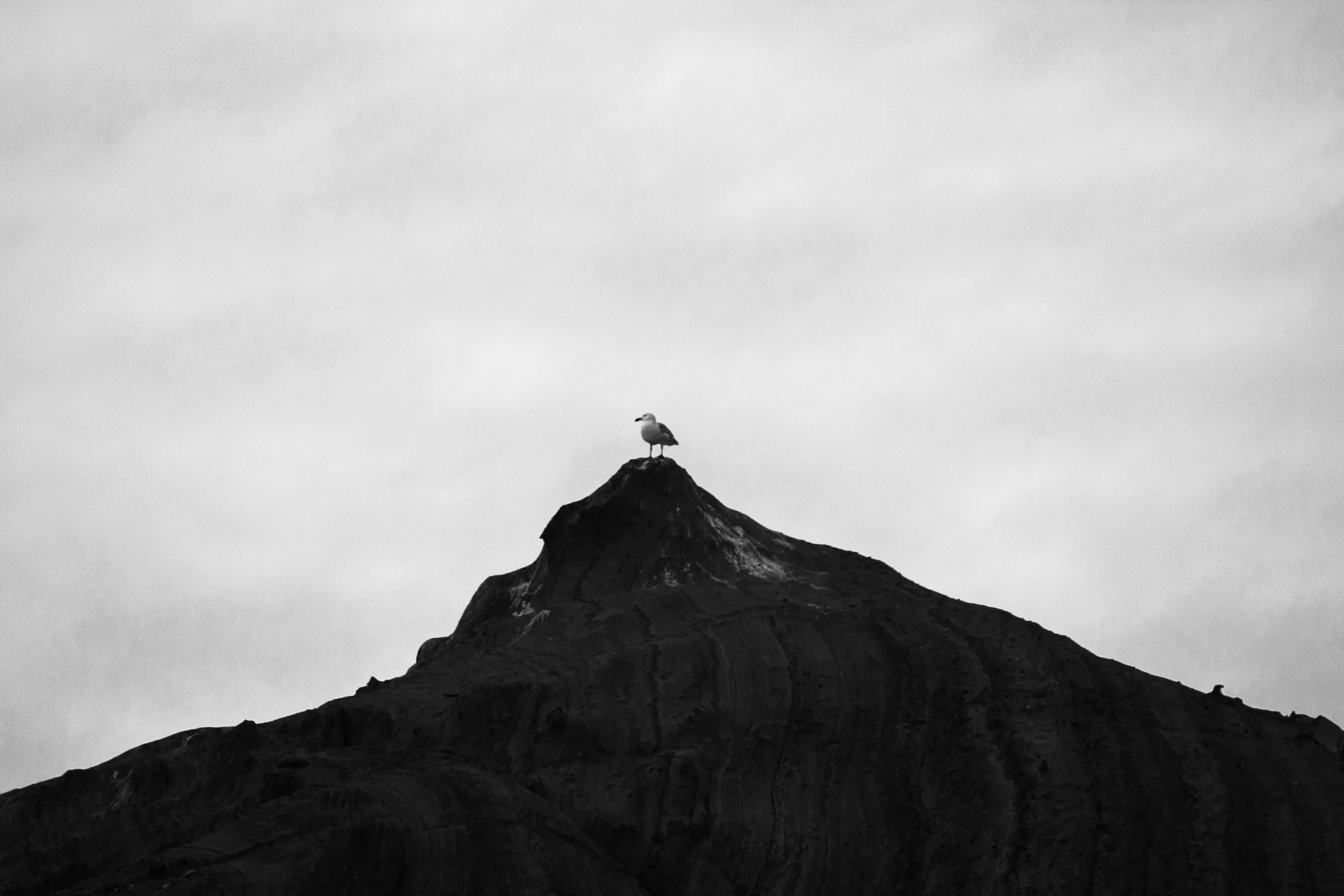 On top of the world