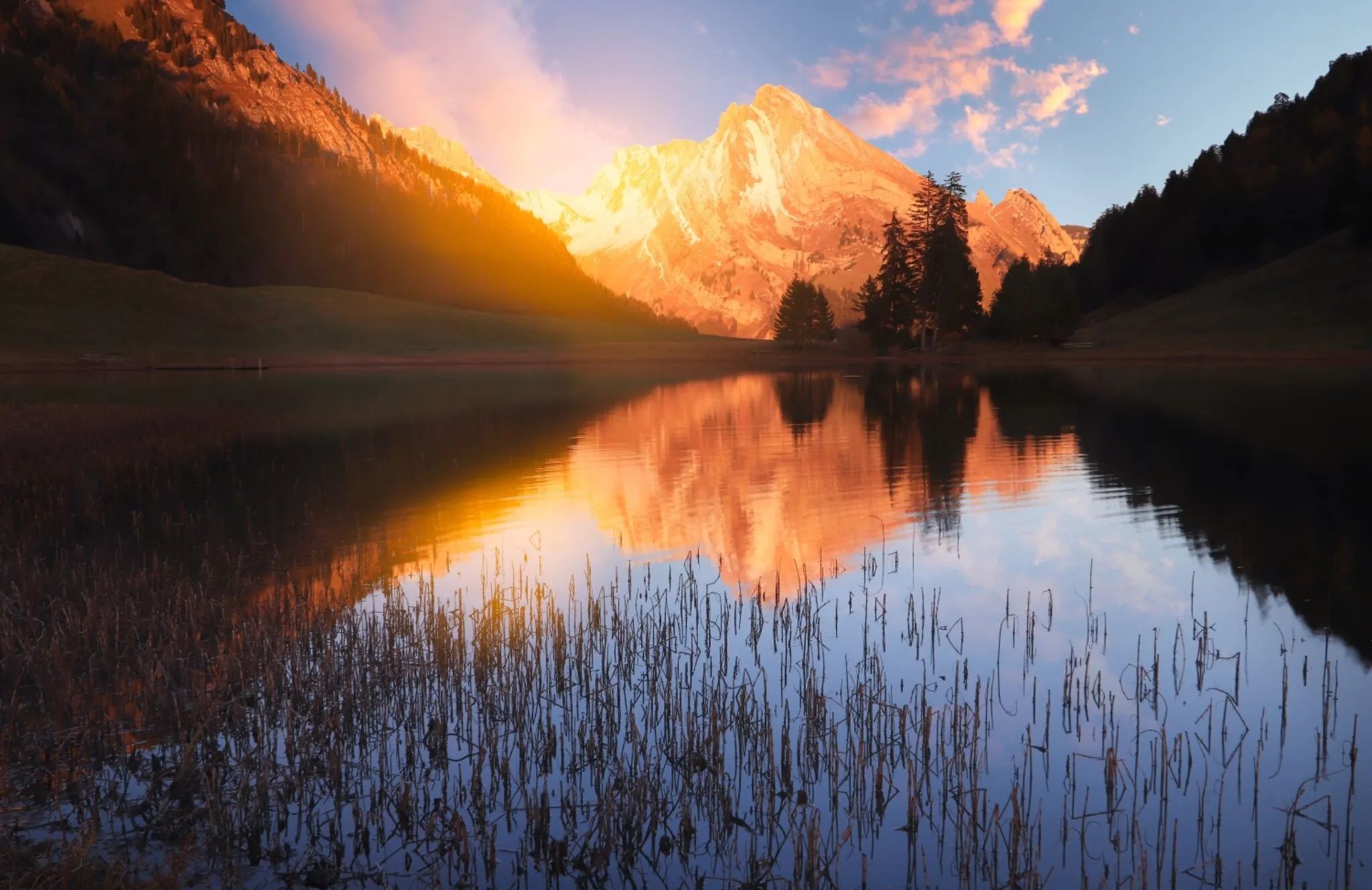 Last Light